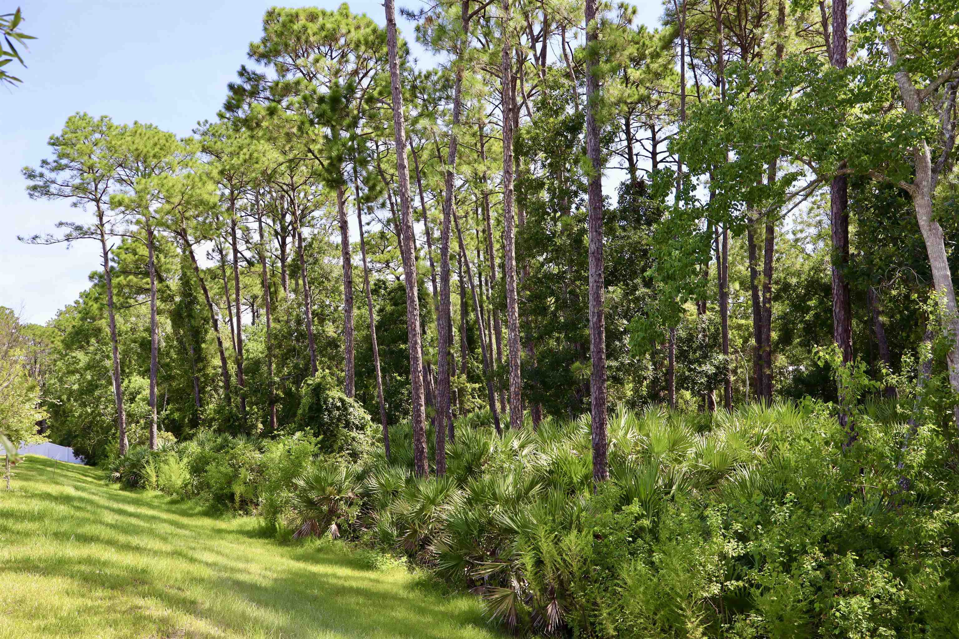 Image 2 of 24 For 96 Silver Birch St