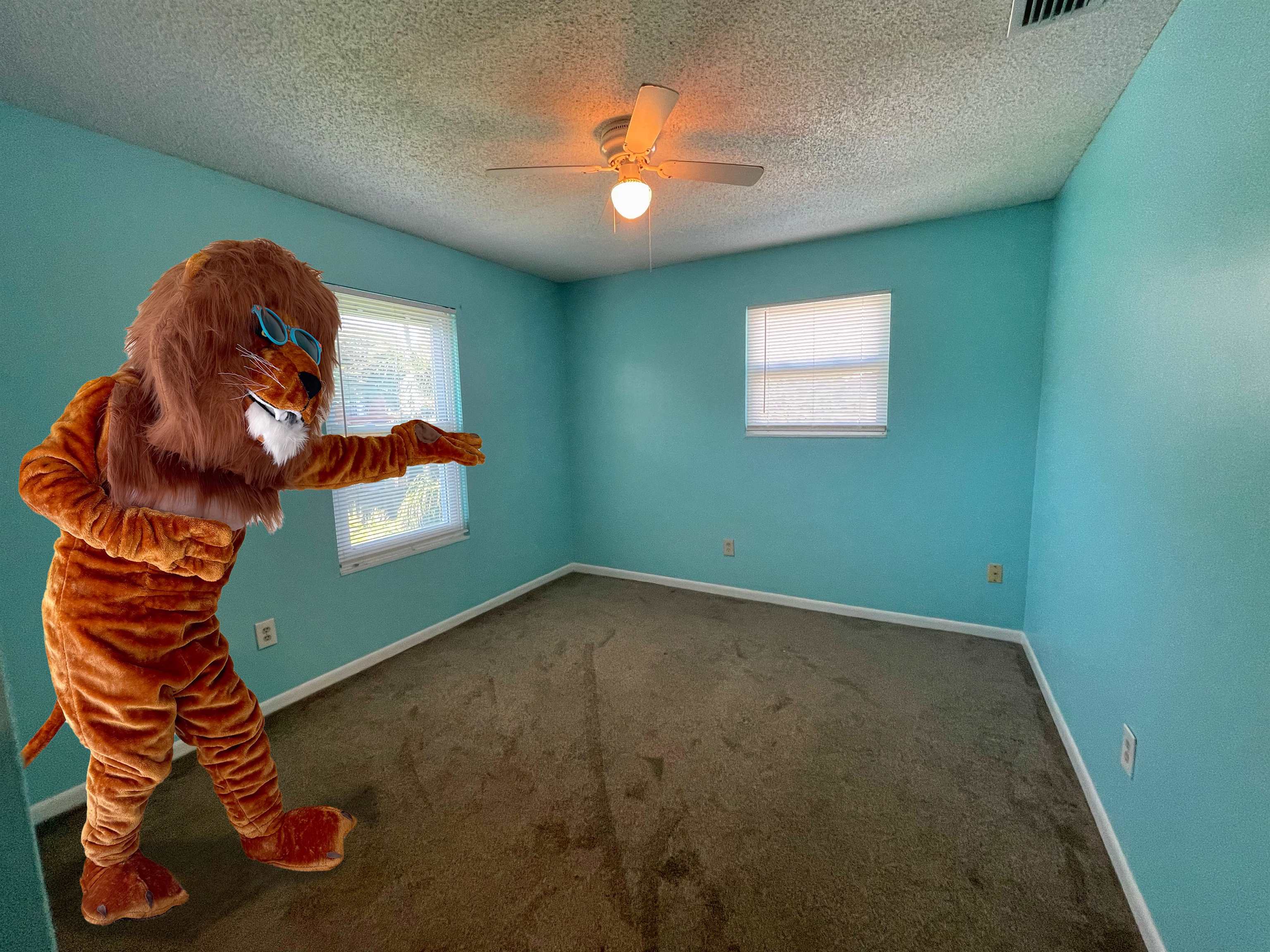 Image 32 of 38 For 203 9th Street