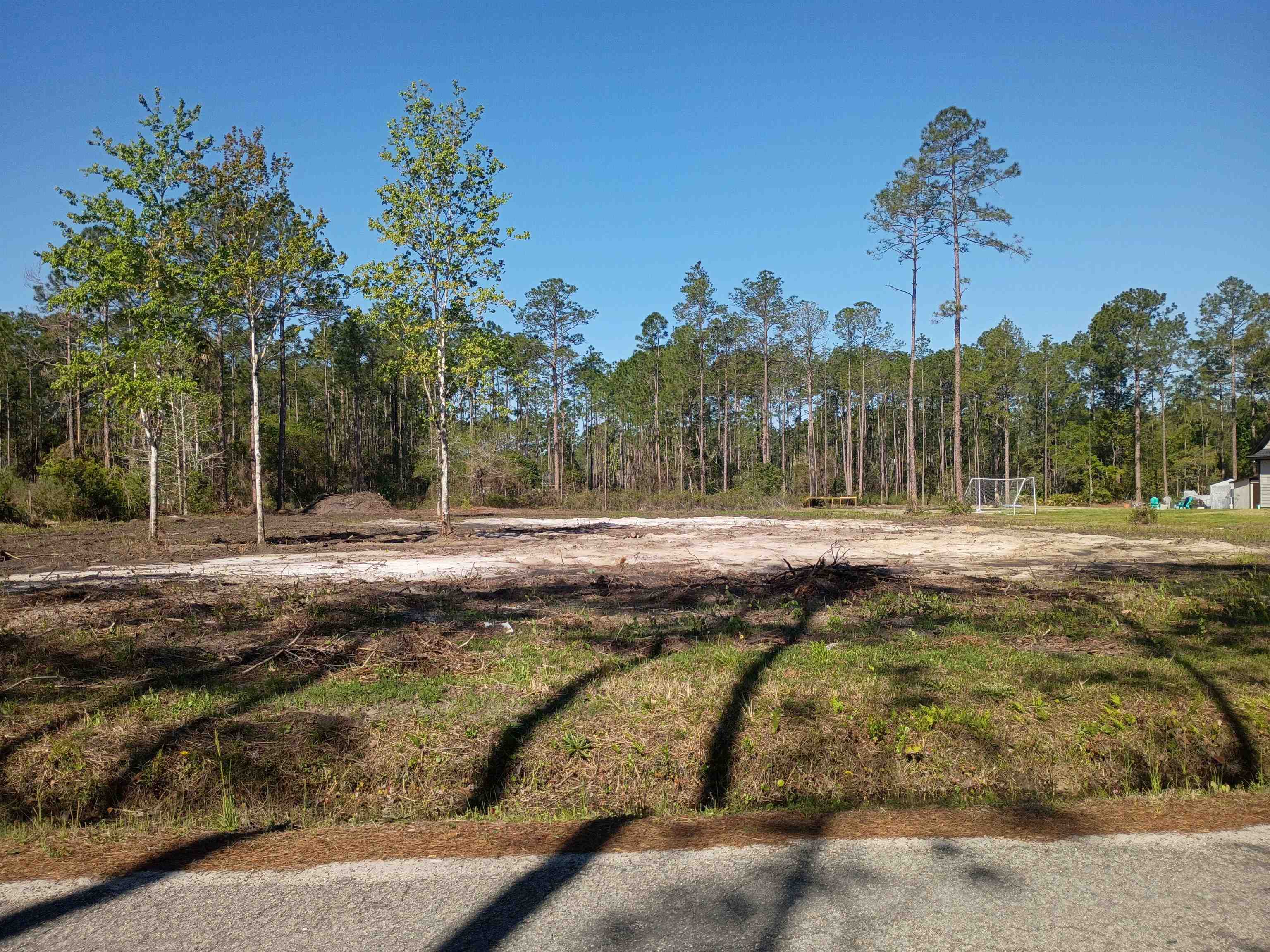 Details for 10035 Amos Ave, Hastings, FL 32145