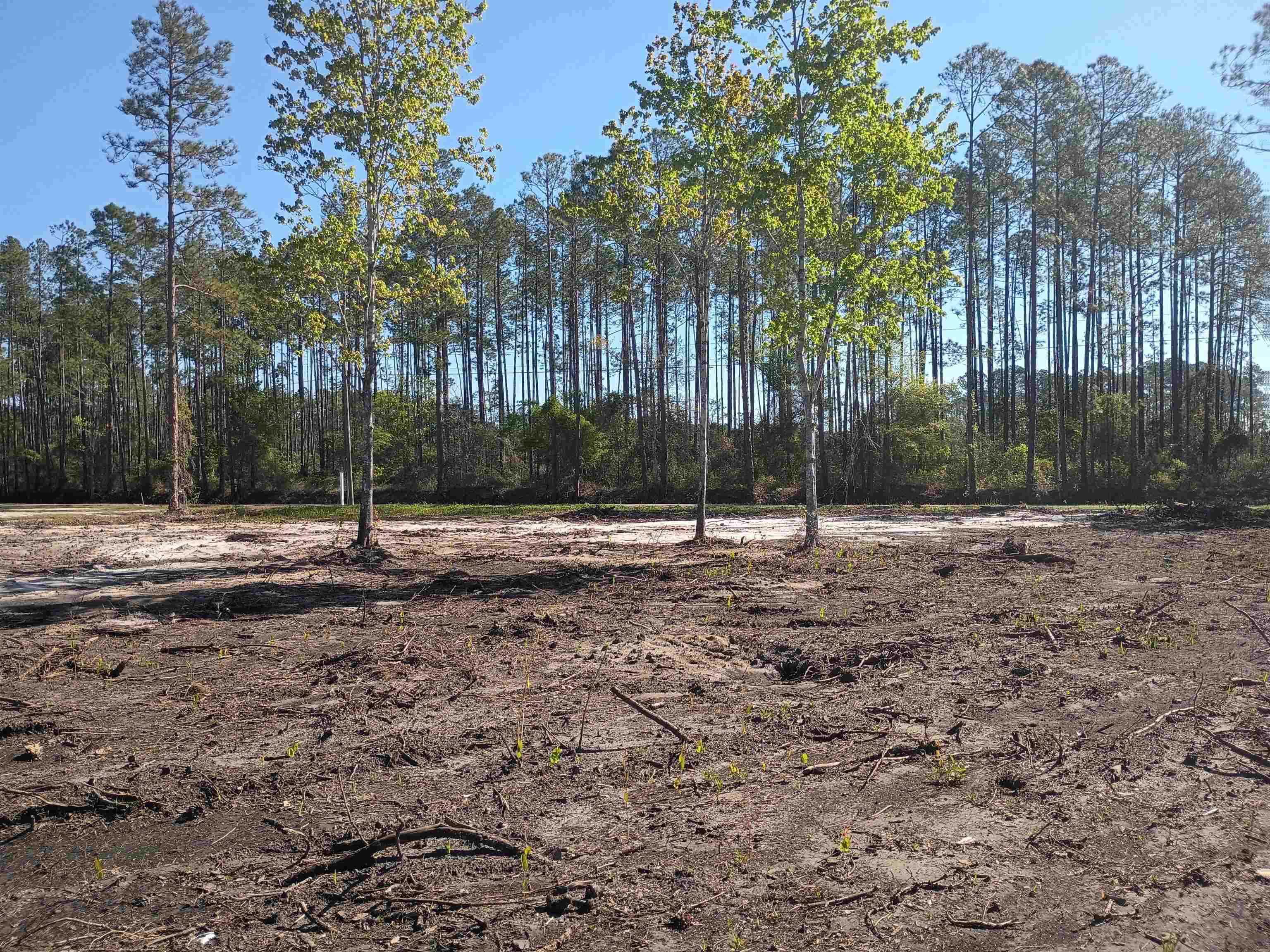 Image 4 of 9 For 10035 Amos Ave