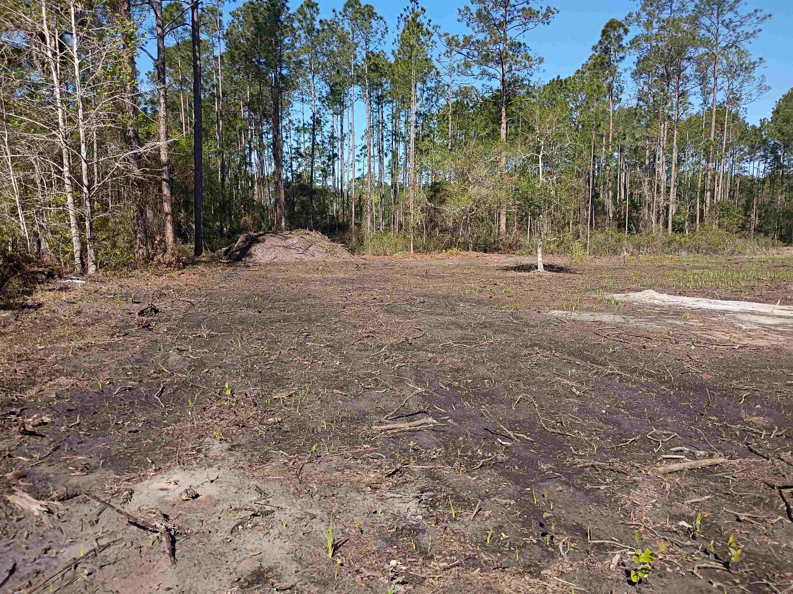 Image 5 of 9 For 10035 Amos Ave