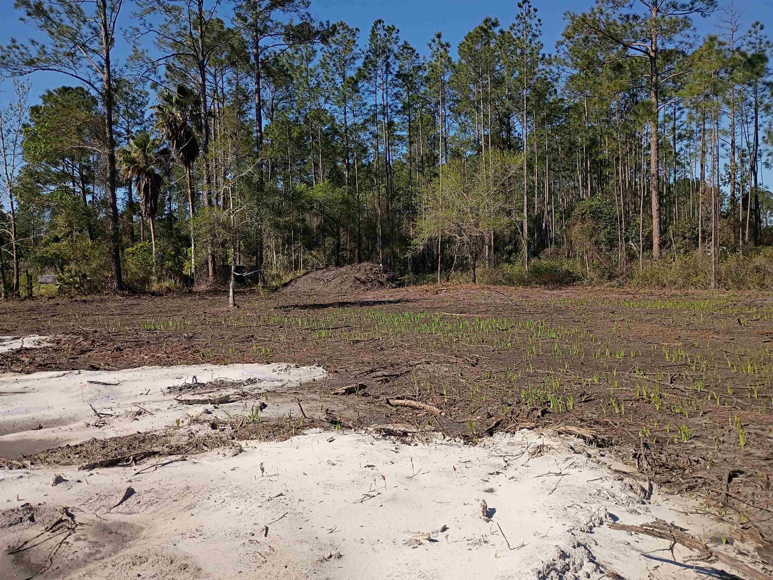 Image 6 of 9 For 10035 Amos Ave