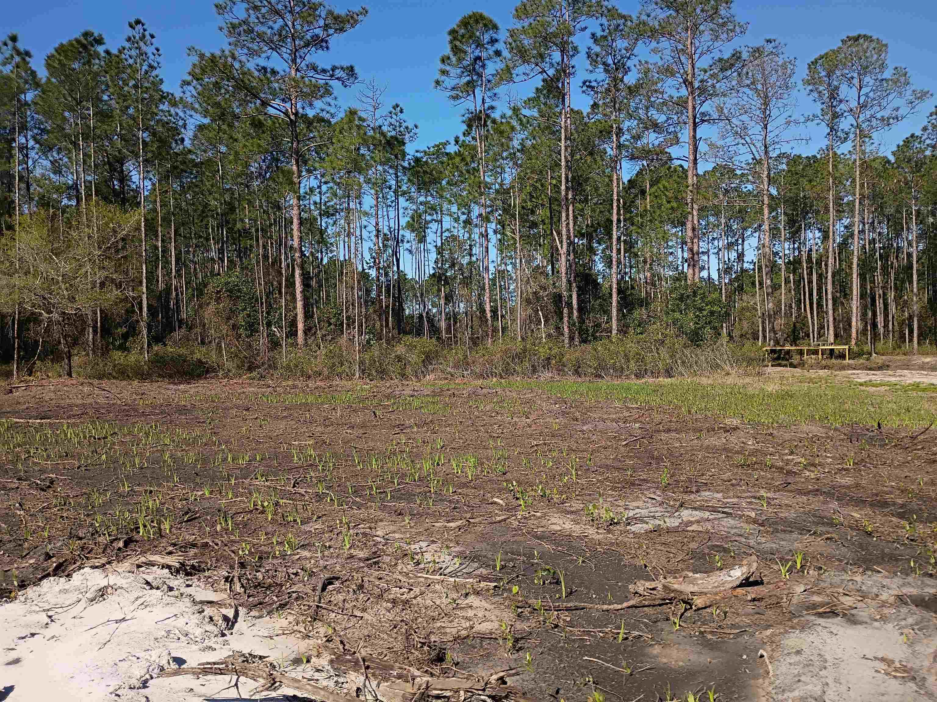 Image 7 of 9 For 10035 Amos Ave