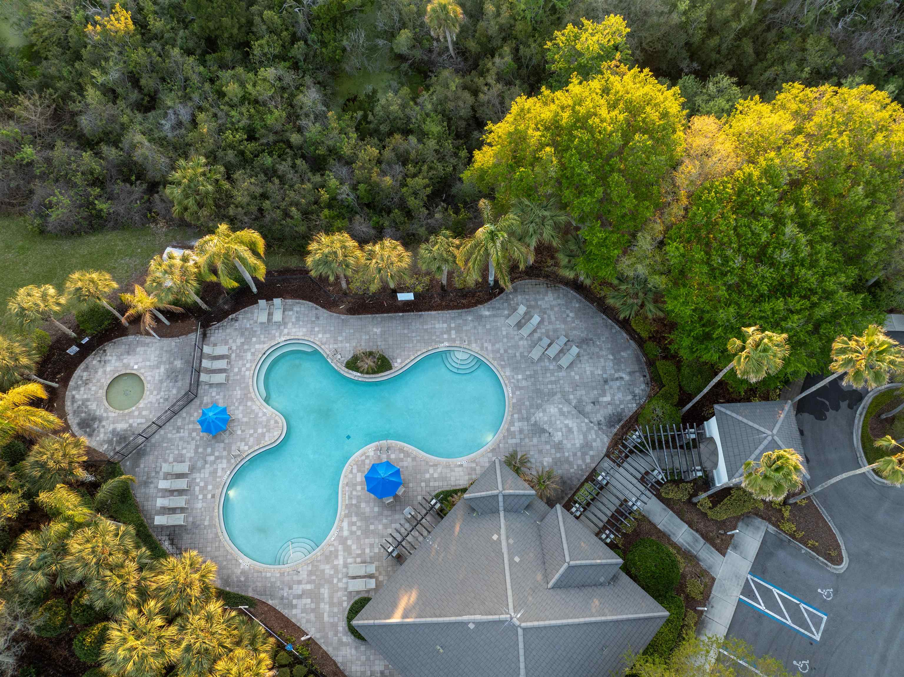 Image 44 of 66 For 1005 Makarios Dr