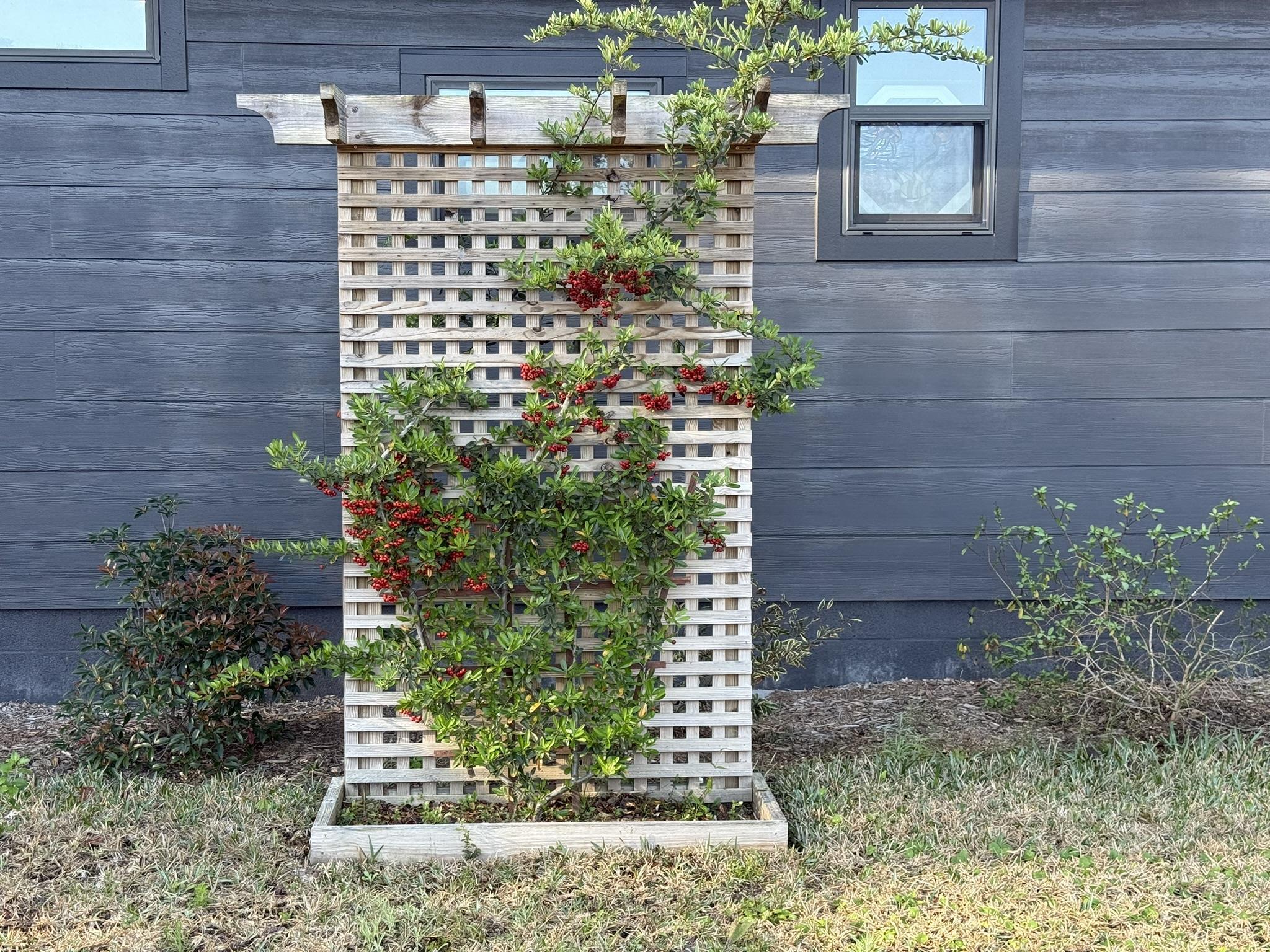 Image 73 of 75 For 146 Maple Tree Ln