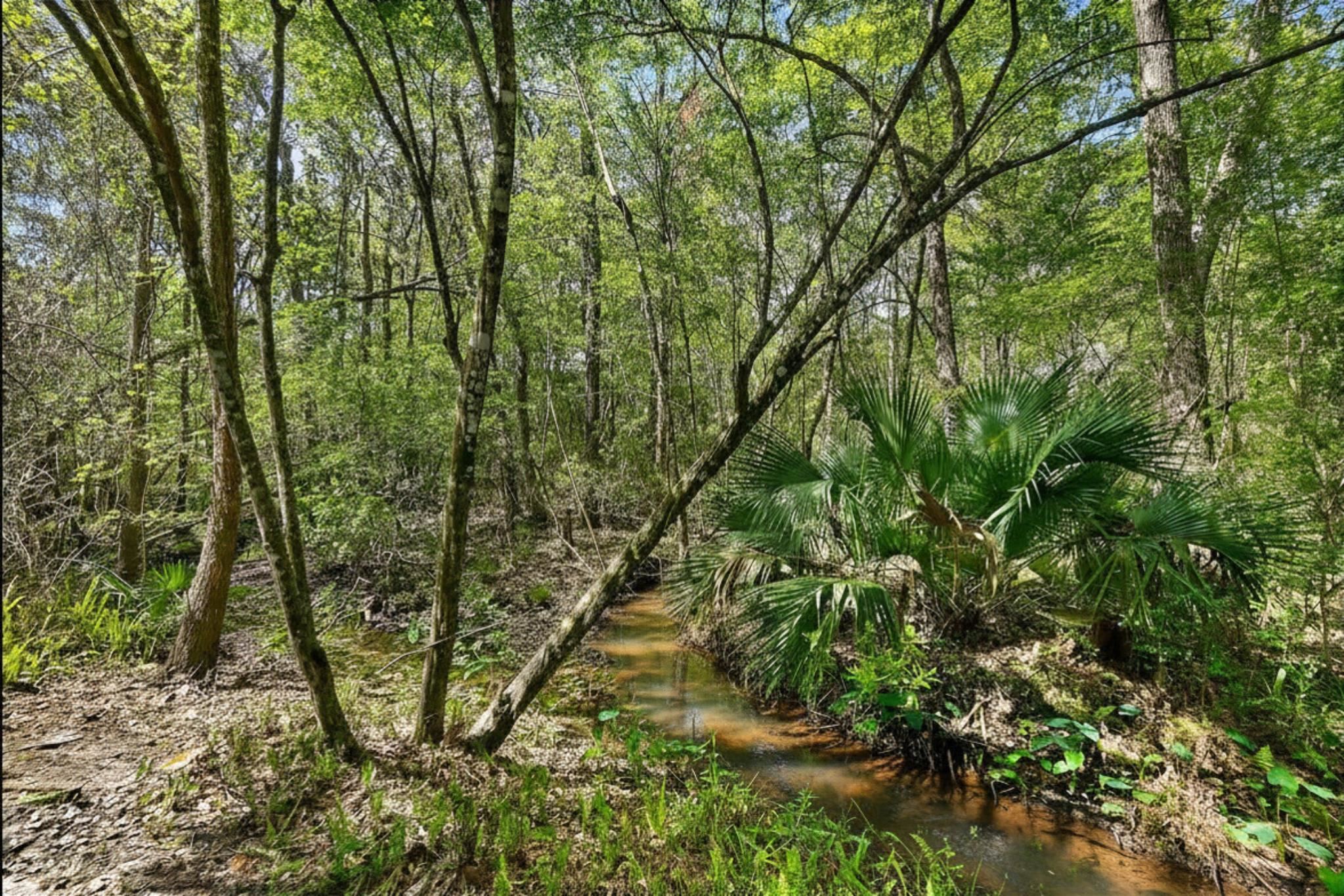 Image 36 of 40 For 3253 Turtle Creek Rd