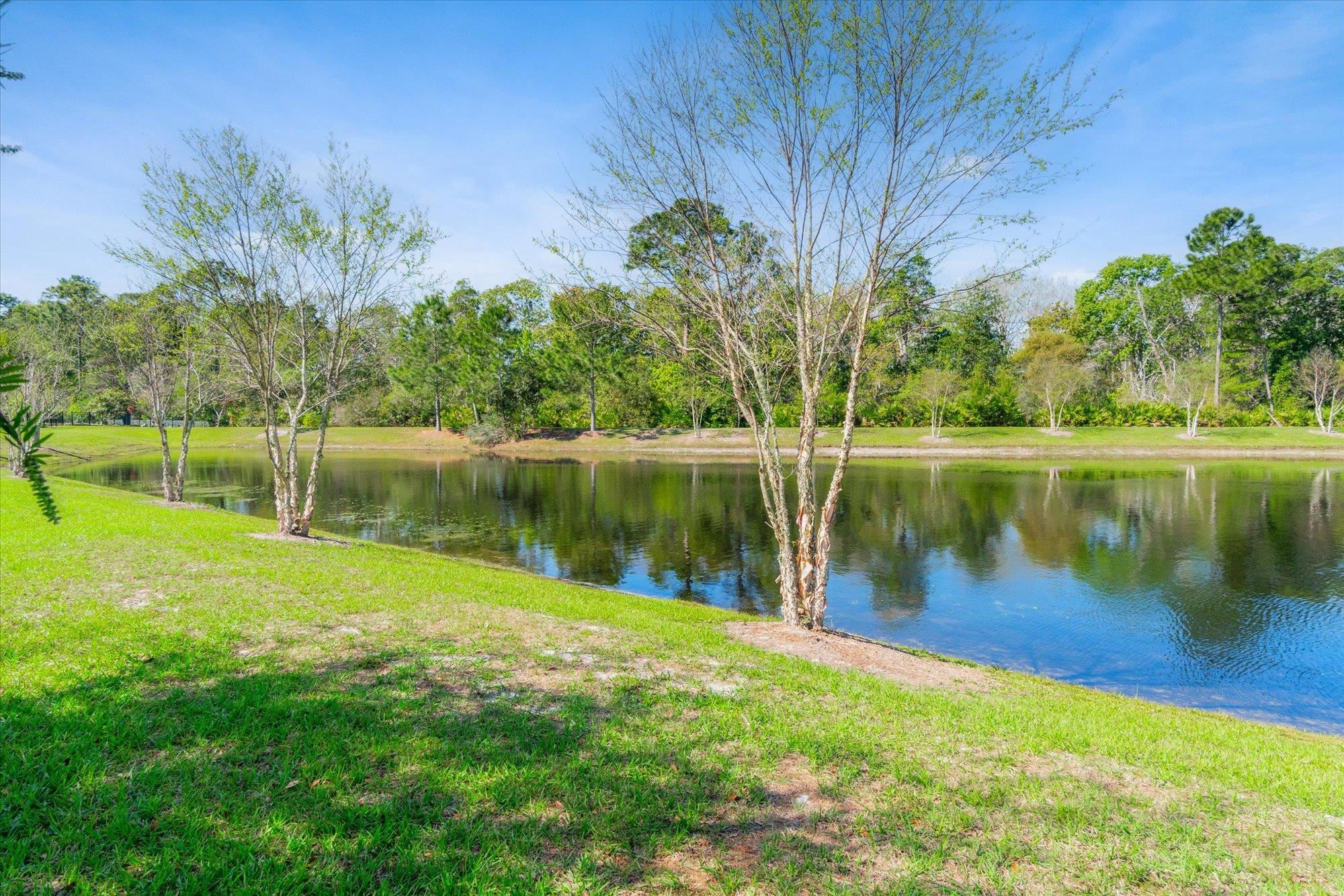 Image 31 of 43 For 437 La Mancha Dr