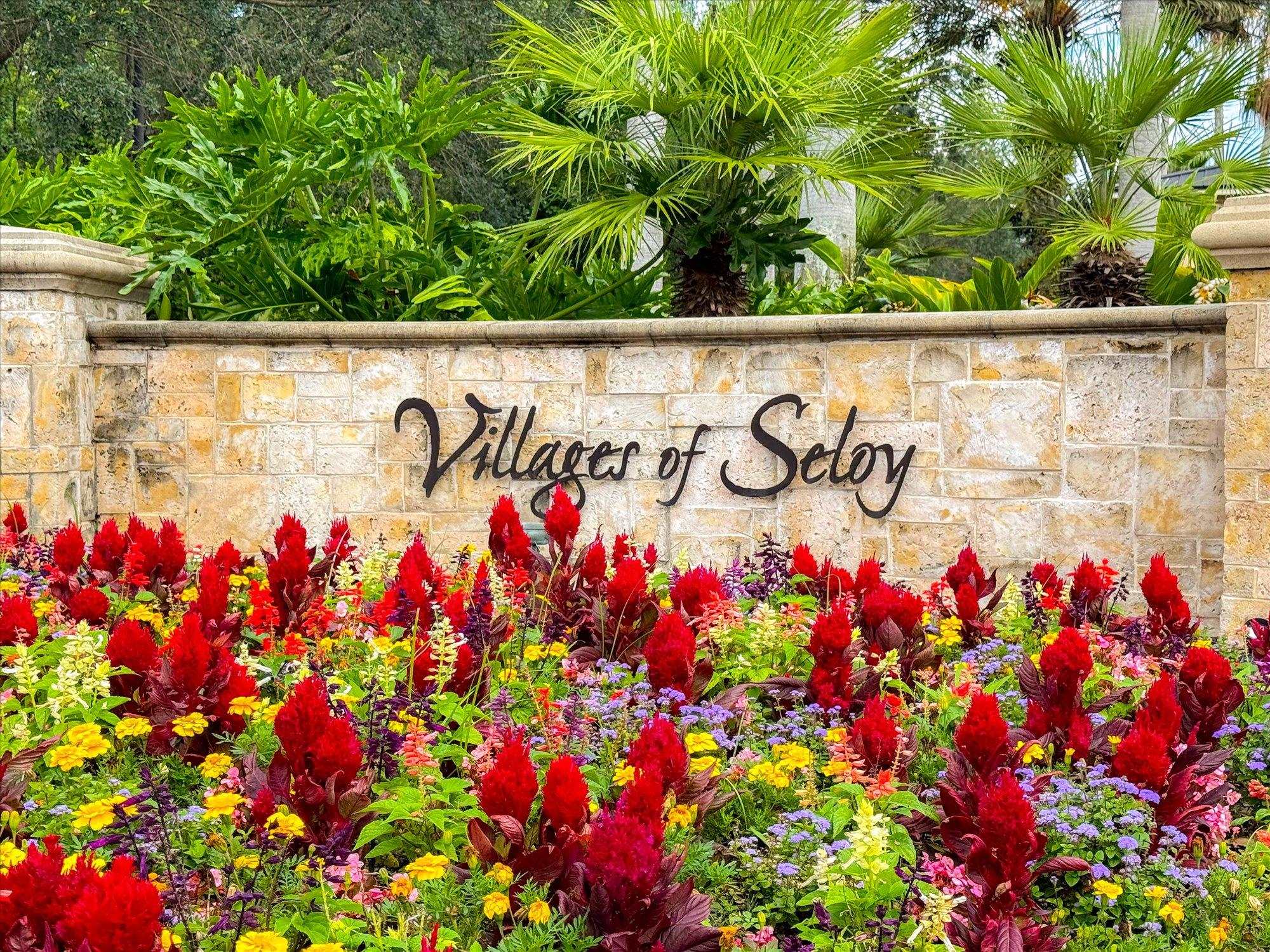 Image 46 of 62 For 82 Timoga Trl