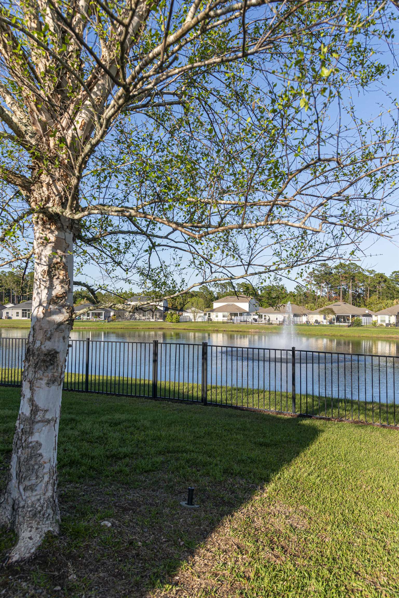 Image 23 of 34 For 85 Amia Drive