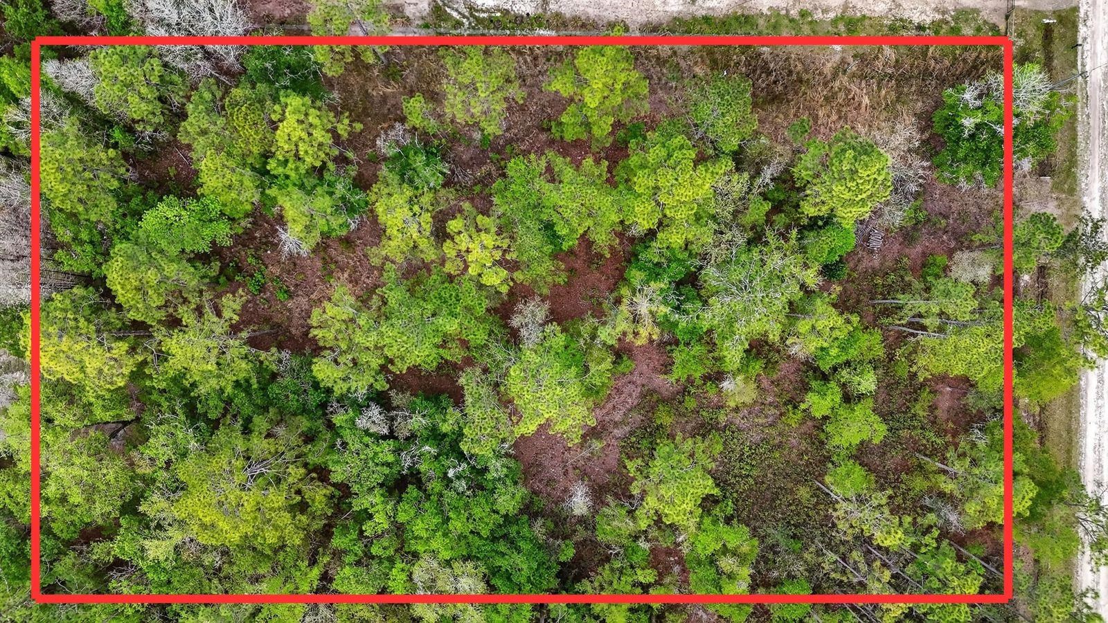 Image 14 of 25 For 10065 Hennessey Ave