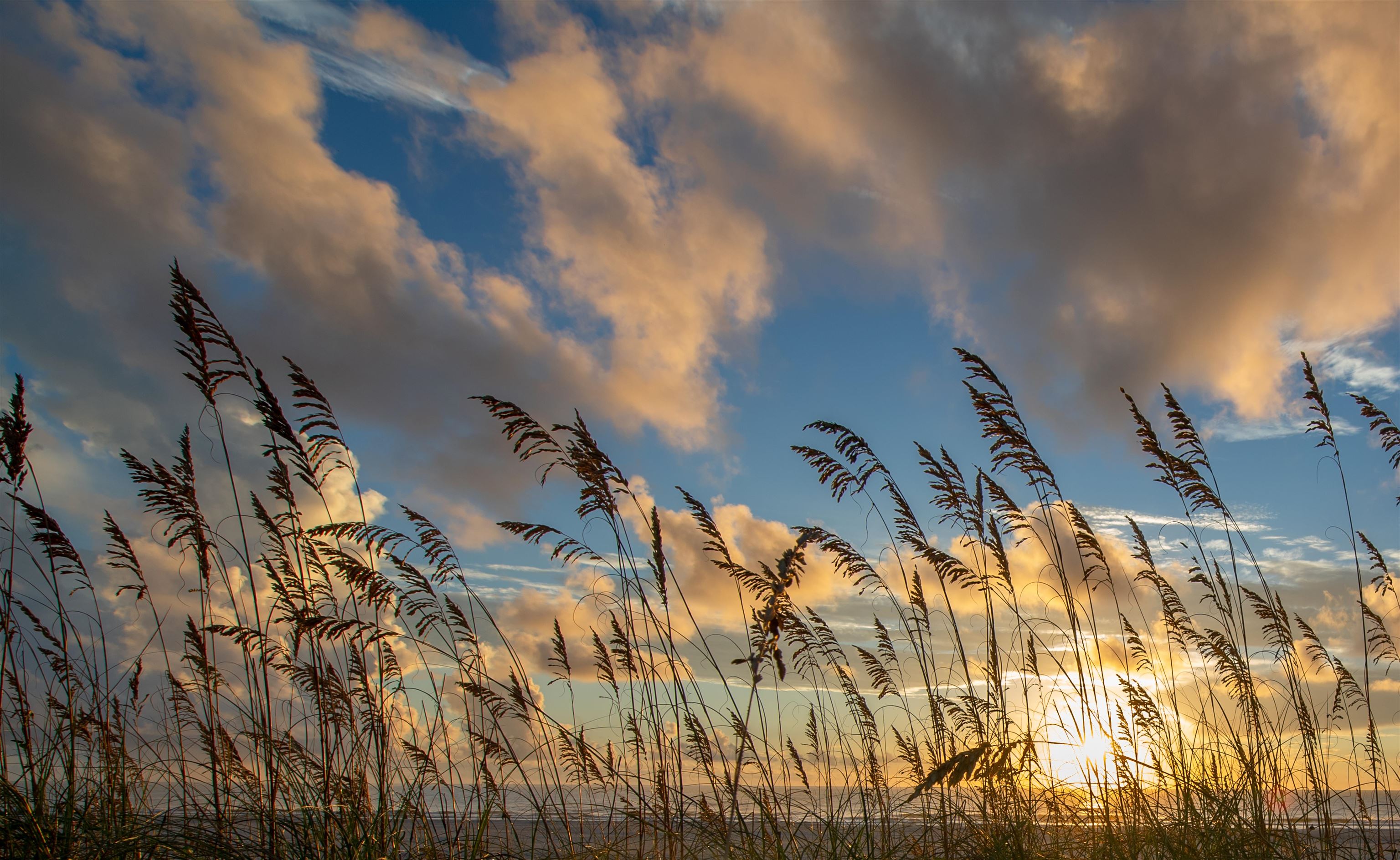 Image 24 of 25 For 10065 Hennessey Ave