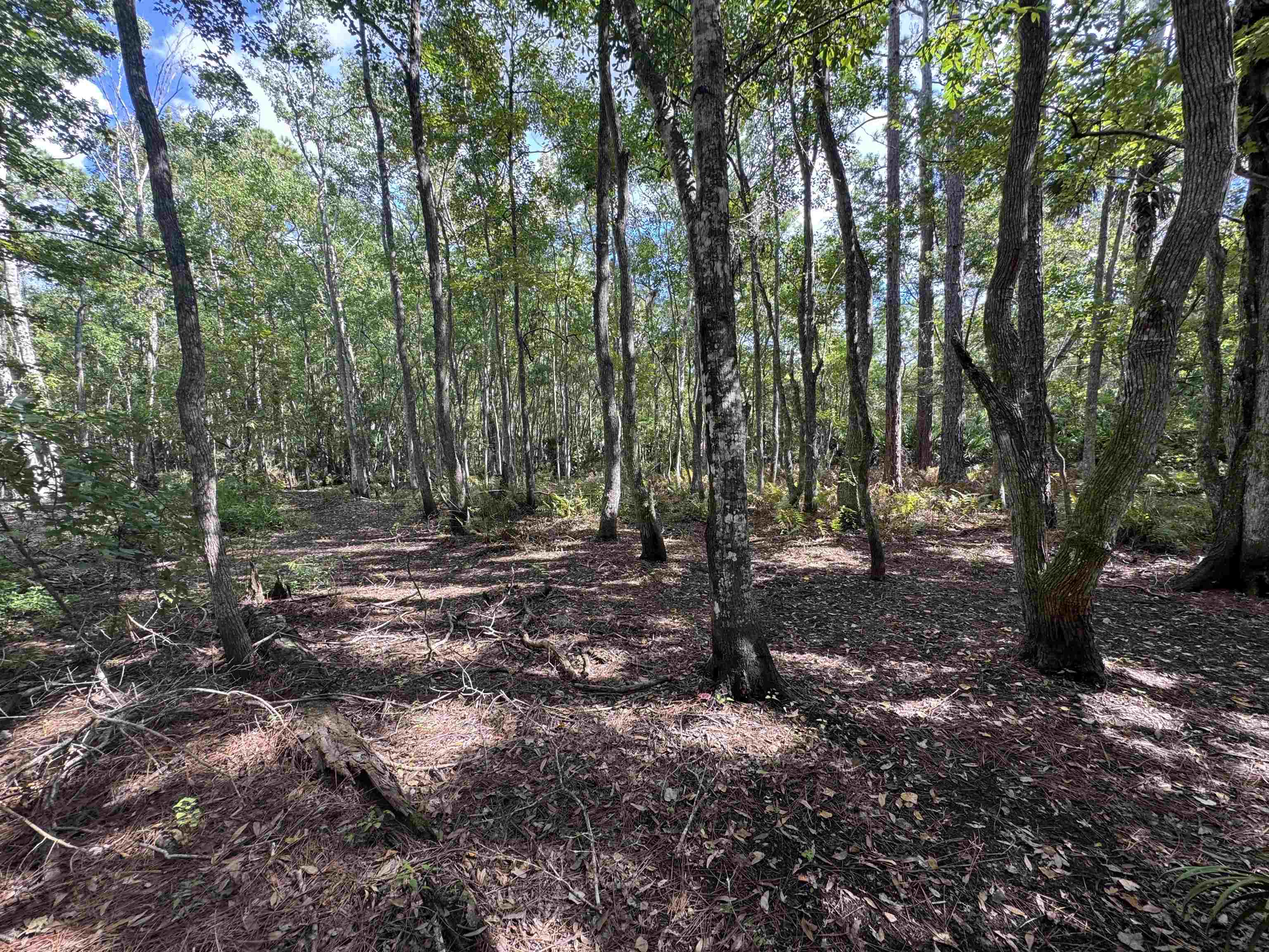 Details for 0 Bruen St  , St Augustine, FL 32084