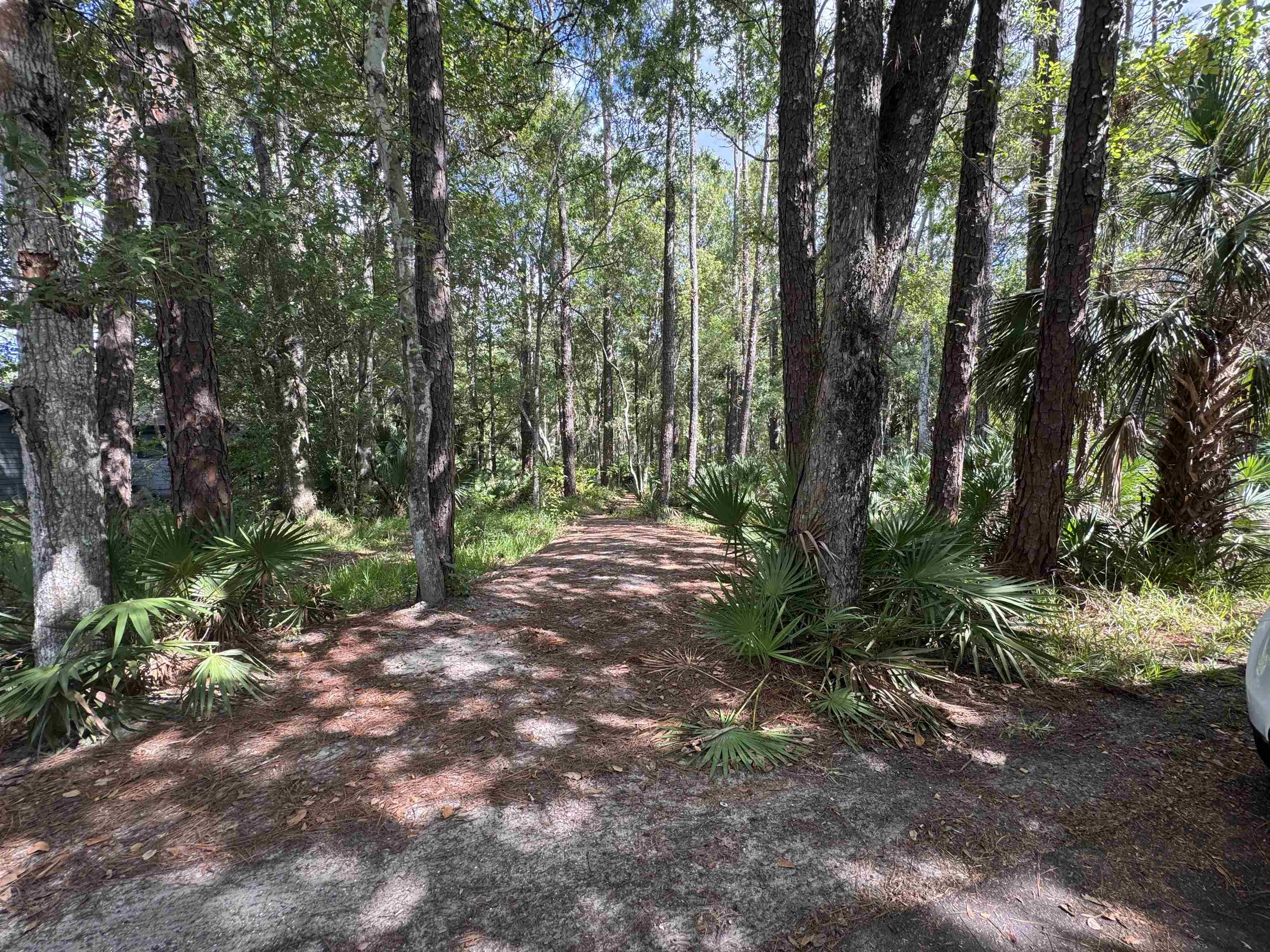 Image 2 of 12 For 0 Bruen St  