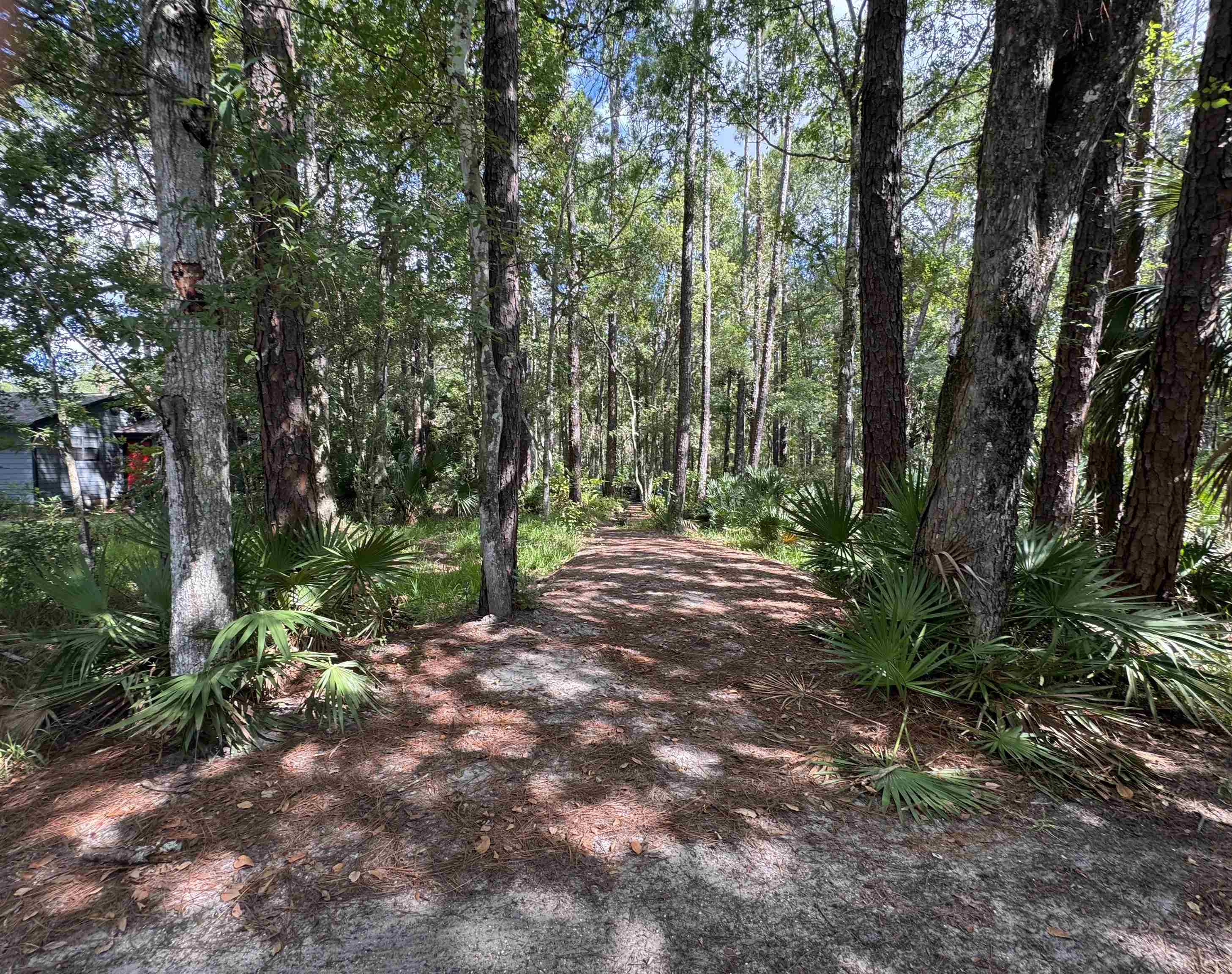 Image 3 of 12 For 0 Bruen St  