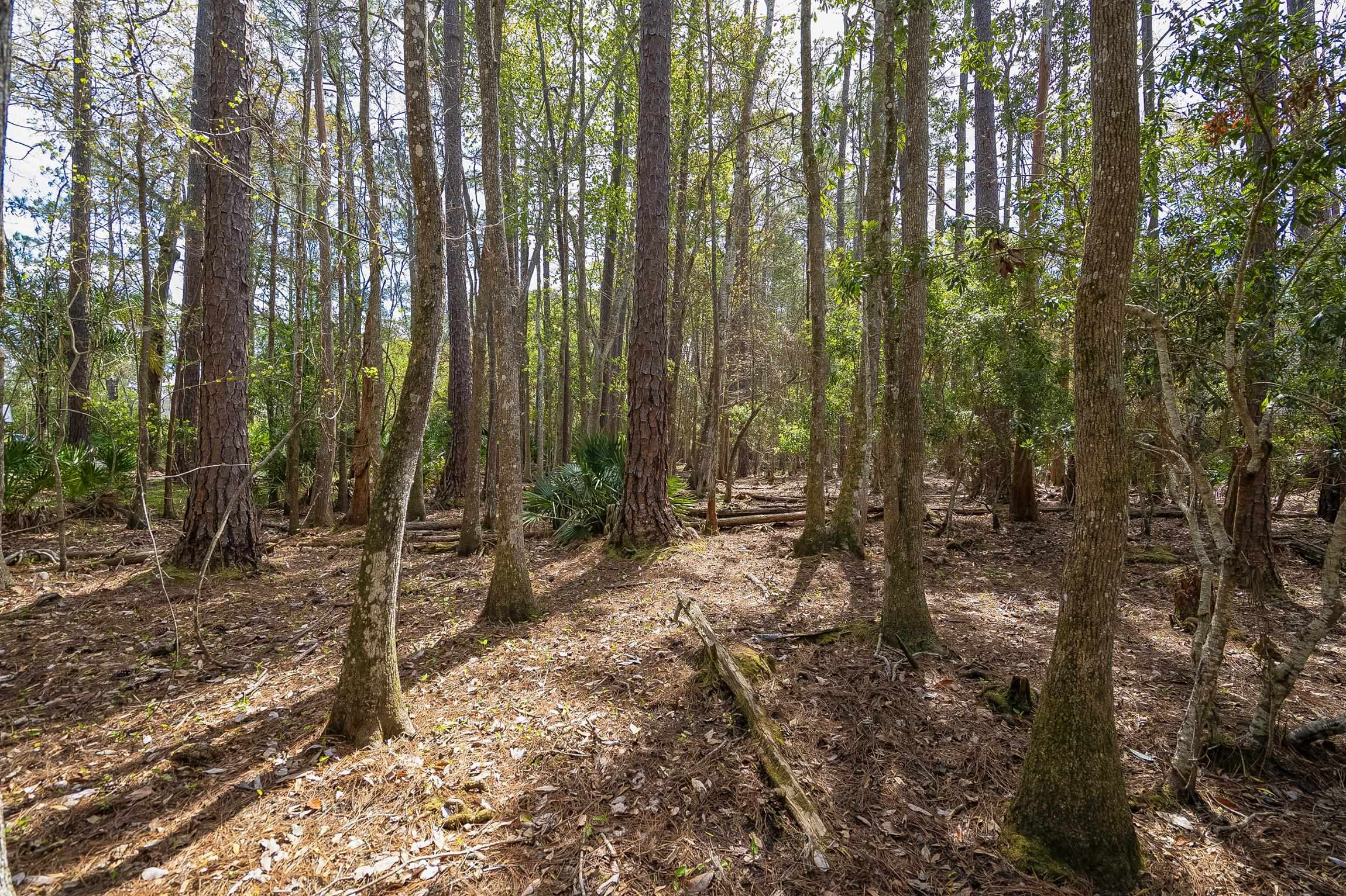 Image 43 of 61 For 4040 Red Pine Ln