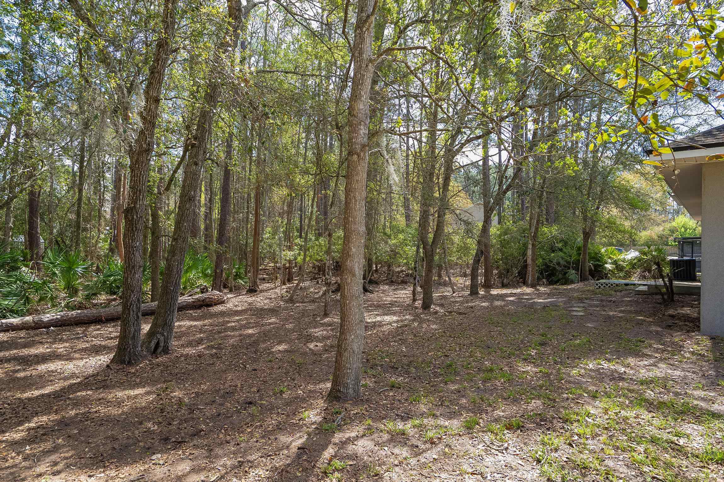 Image 6 of 61 For 4040 Red Pine Ln