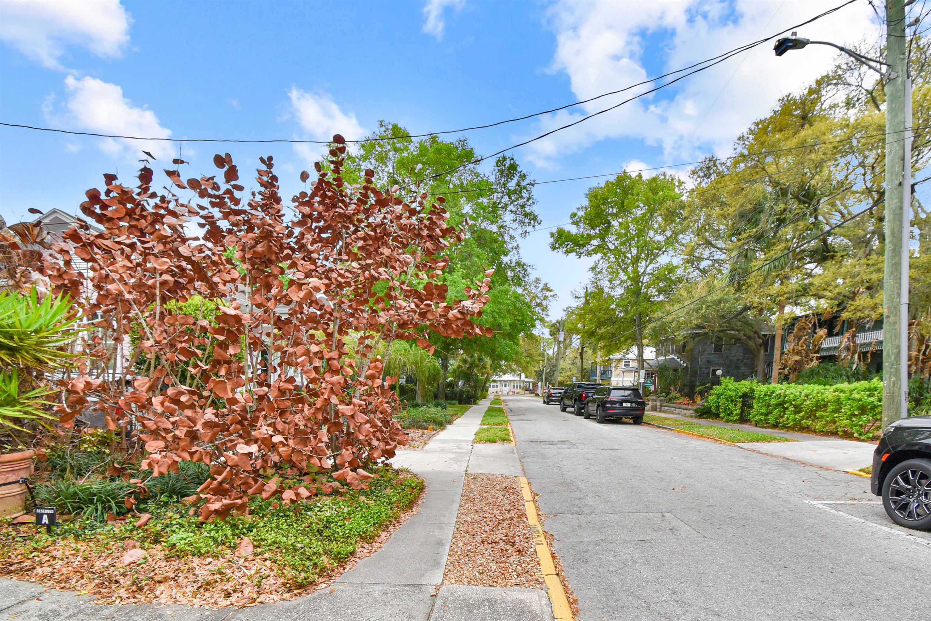 Image 28 of 75 For 9 Sevilla Street