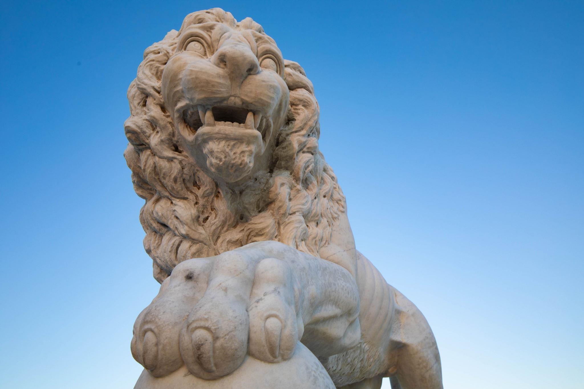 Image 77 of 80 For 253 Jarama Cir