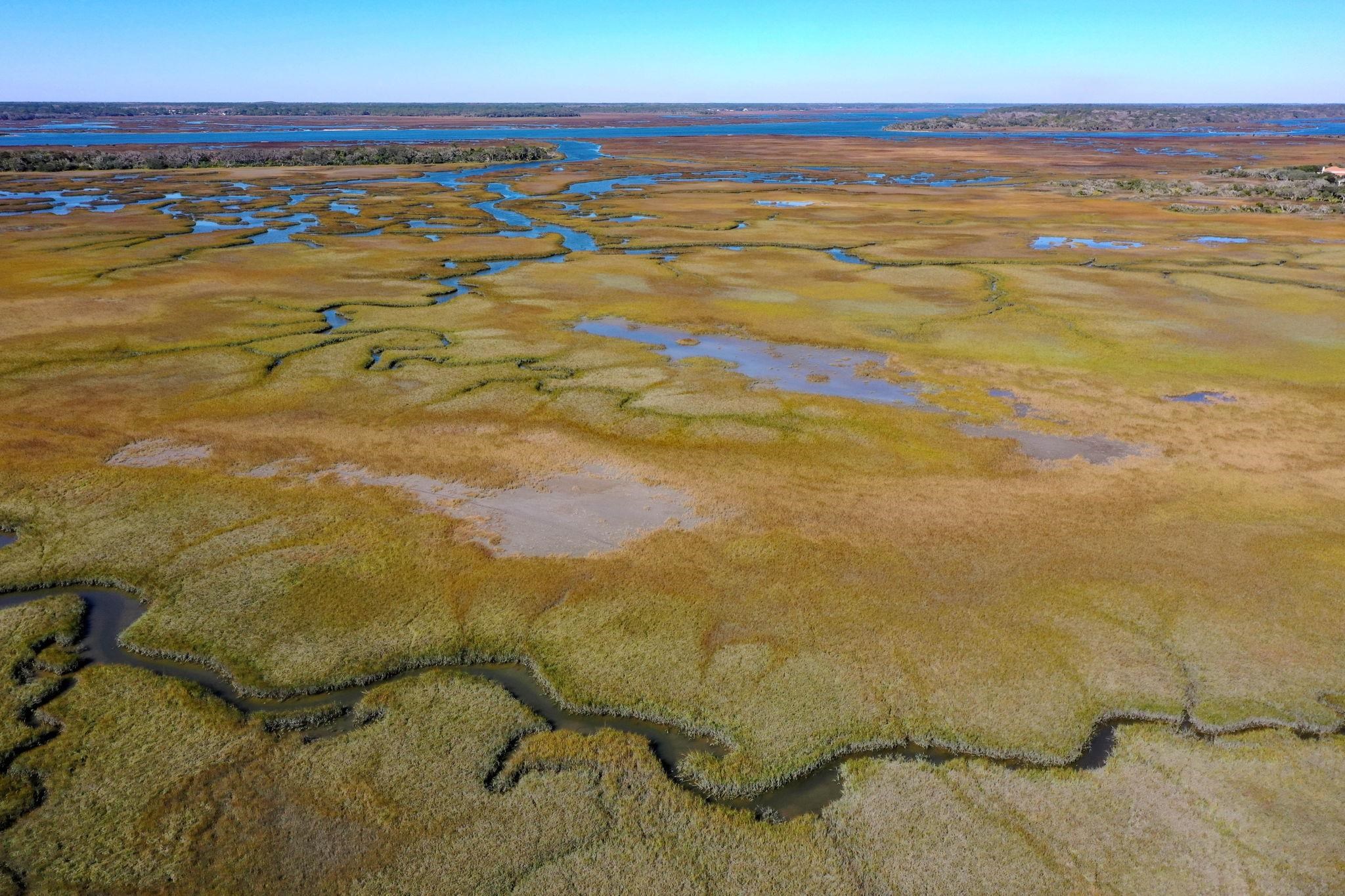 Image 80 of 80 For 253 Jarama Cir