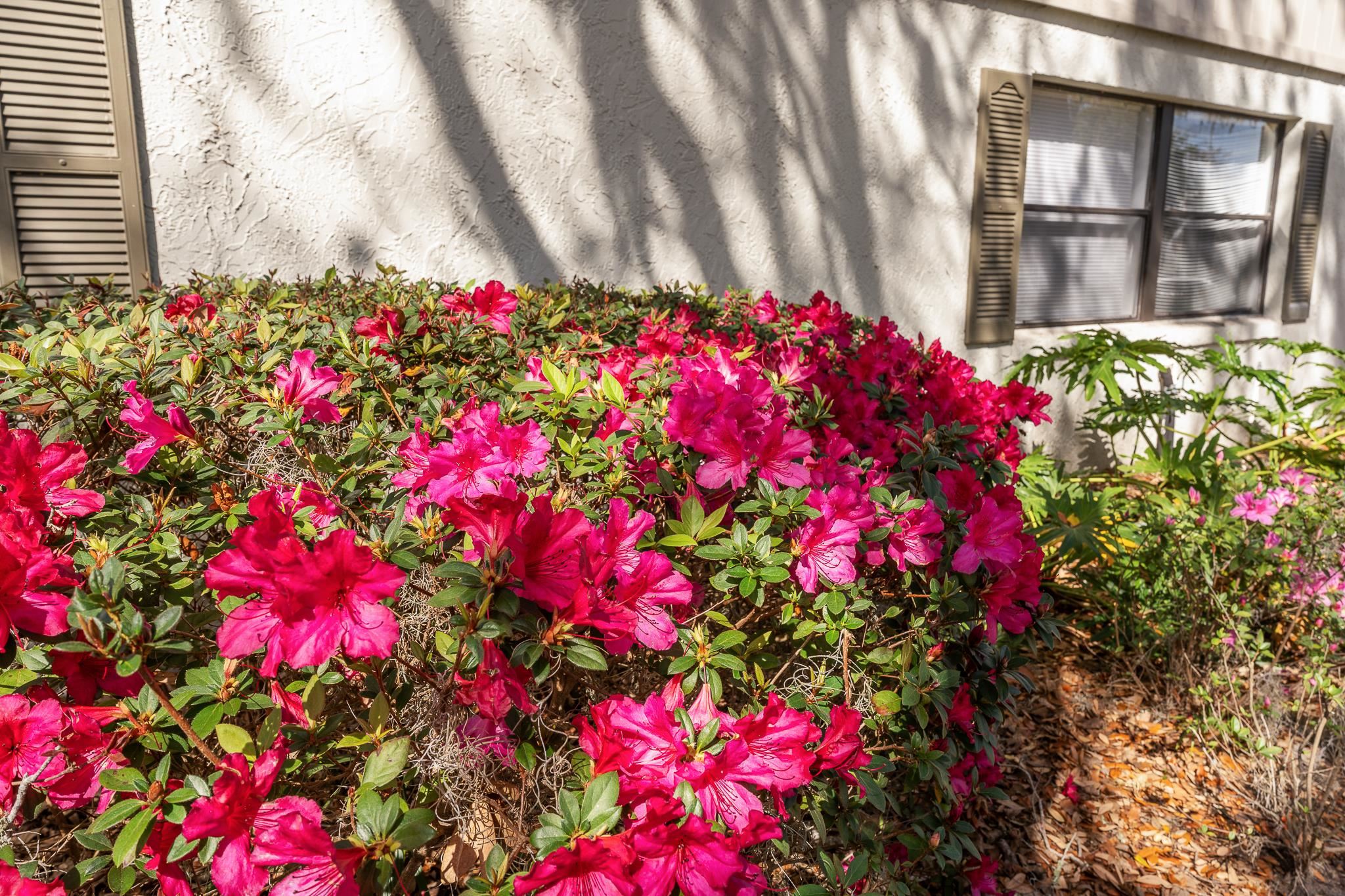 Image 54 of 58 For 5 Andalusia Ct