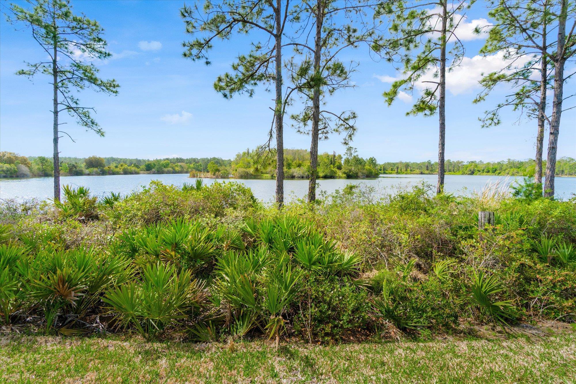 Image 40 of 67 For 89 Kingsley Park Way