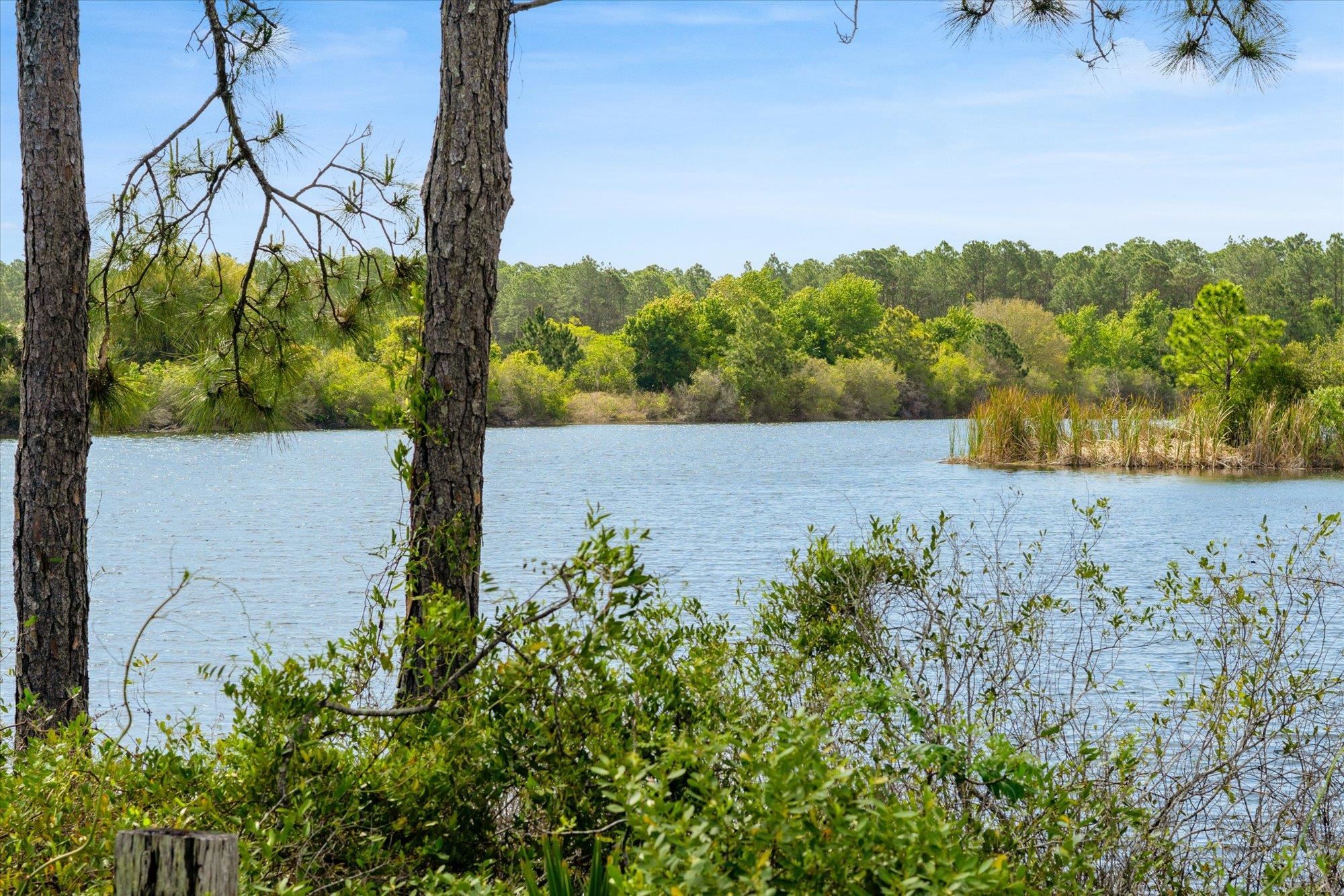 Image 41 of 67 For 89 Kingsley Park Way