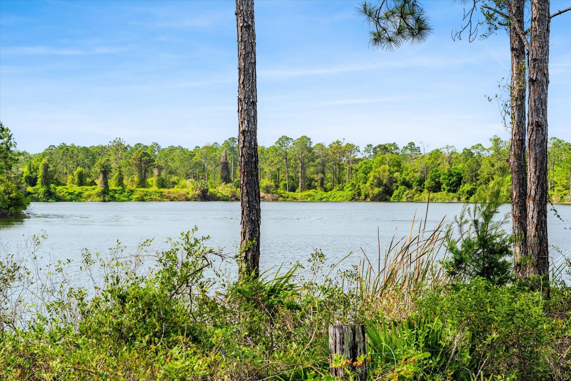 Image 42 of 67 For 89 Kingsley Park Way