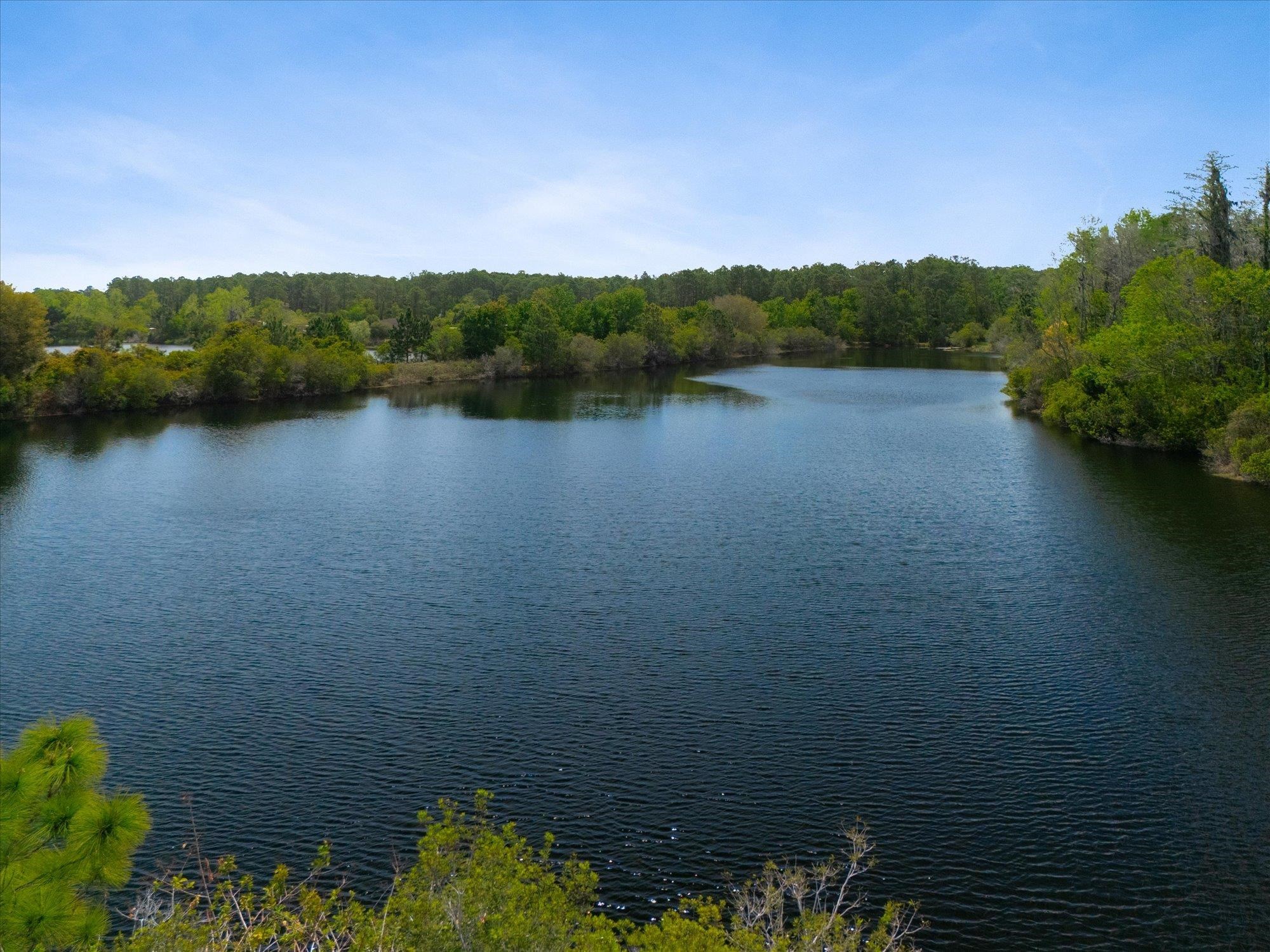 Image 62 of 67 For 89 Kingsley Park Way