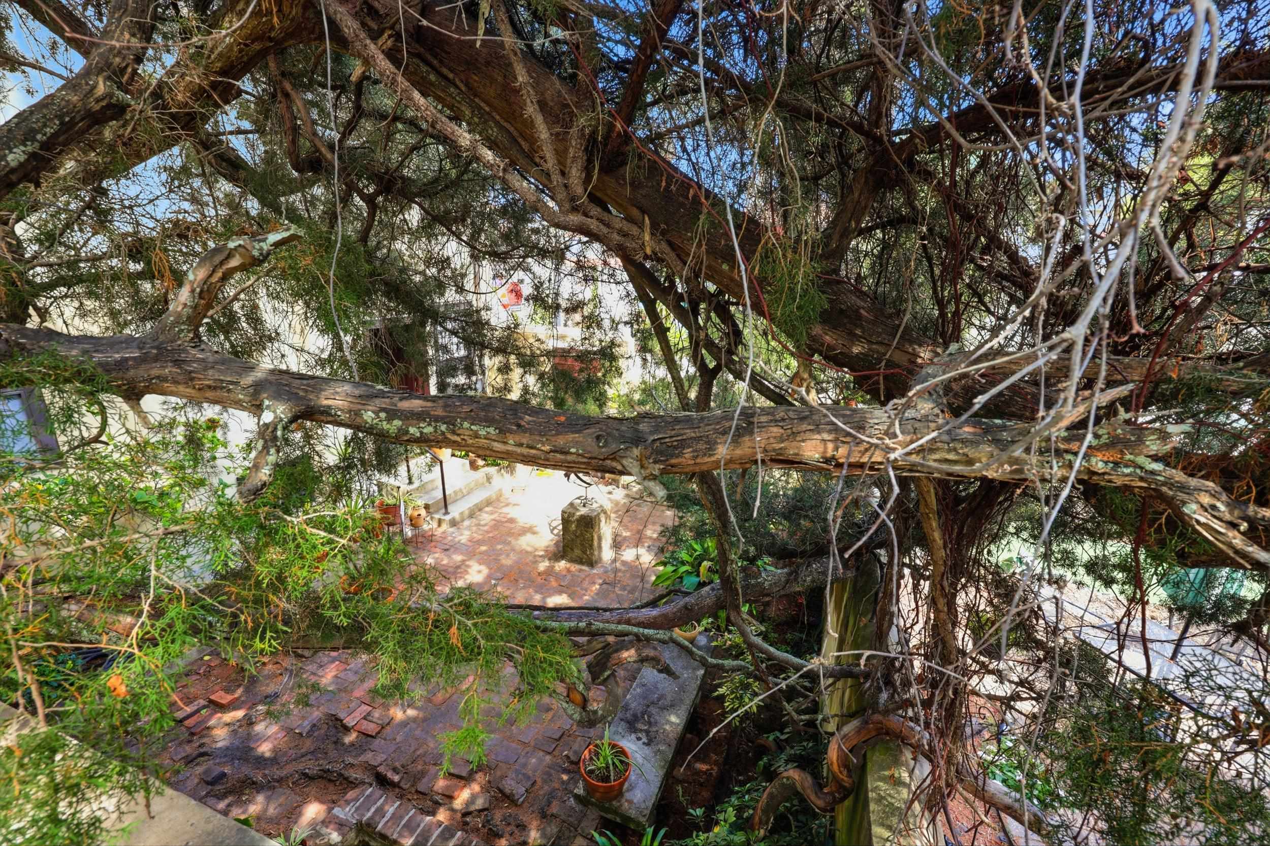 Image 49 of 100 For 50 Charlotte St