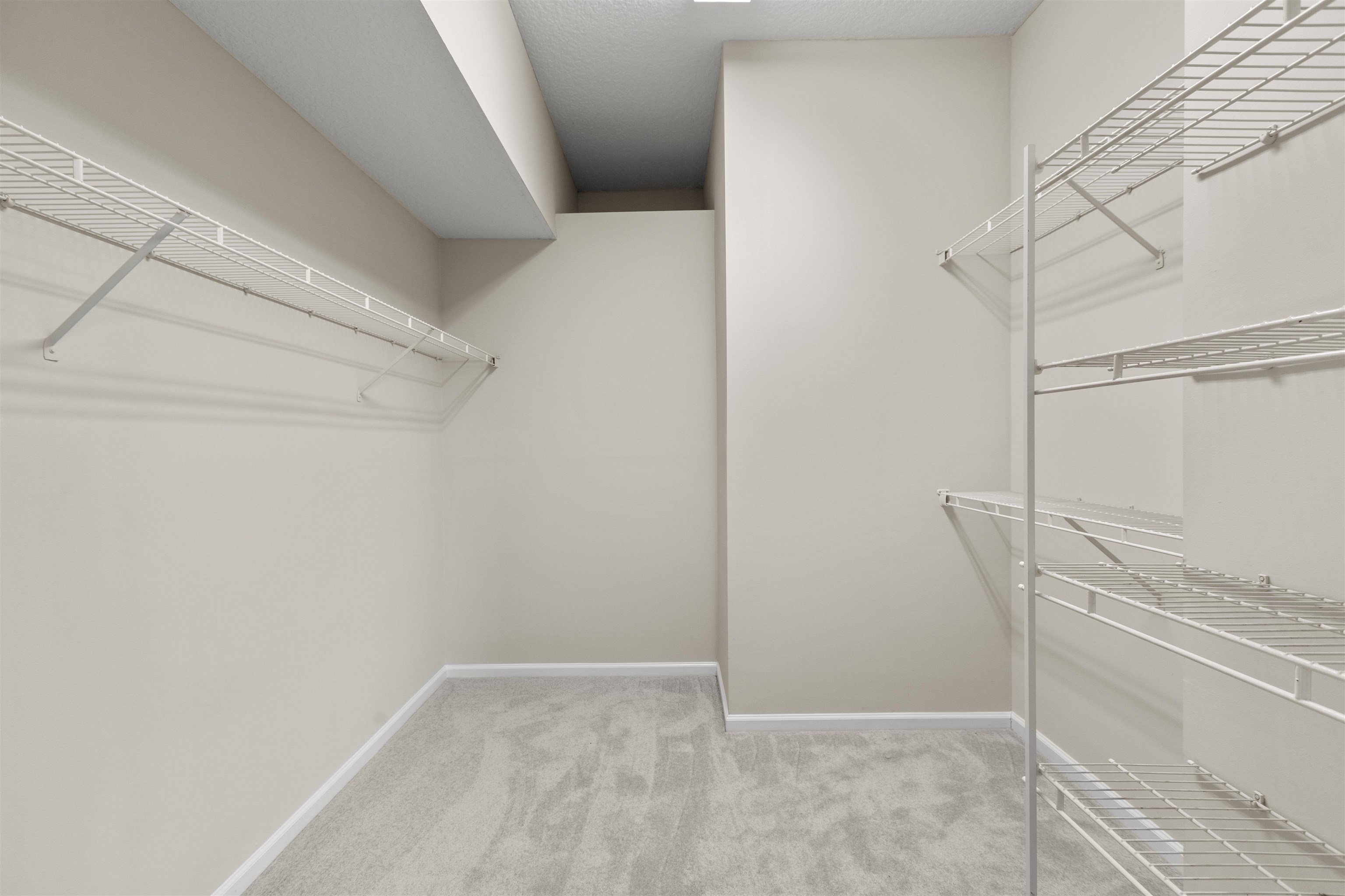 Image 19 of 39 For 428 Chamberlain Dr