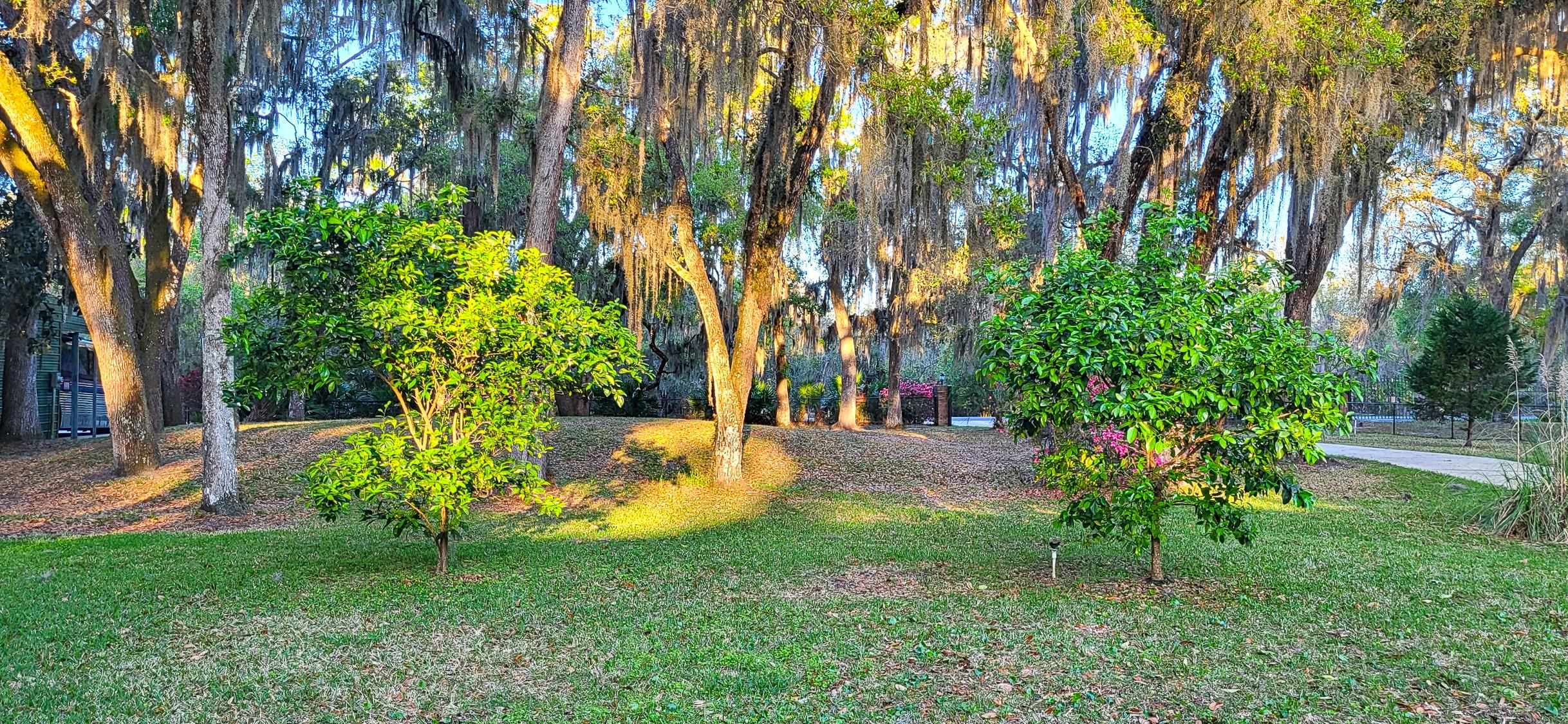 Image 76 of 94 For 524 Cedar Creek Rd