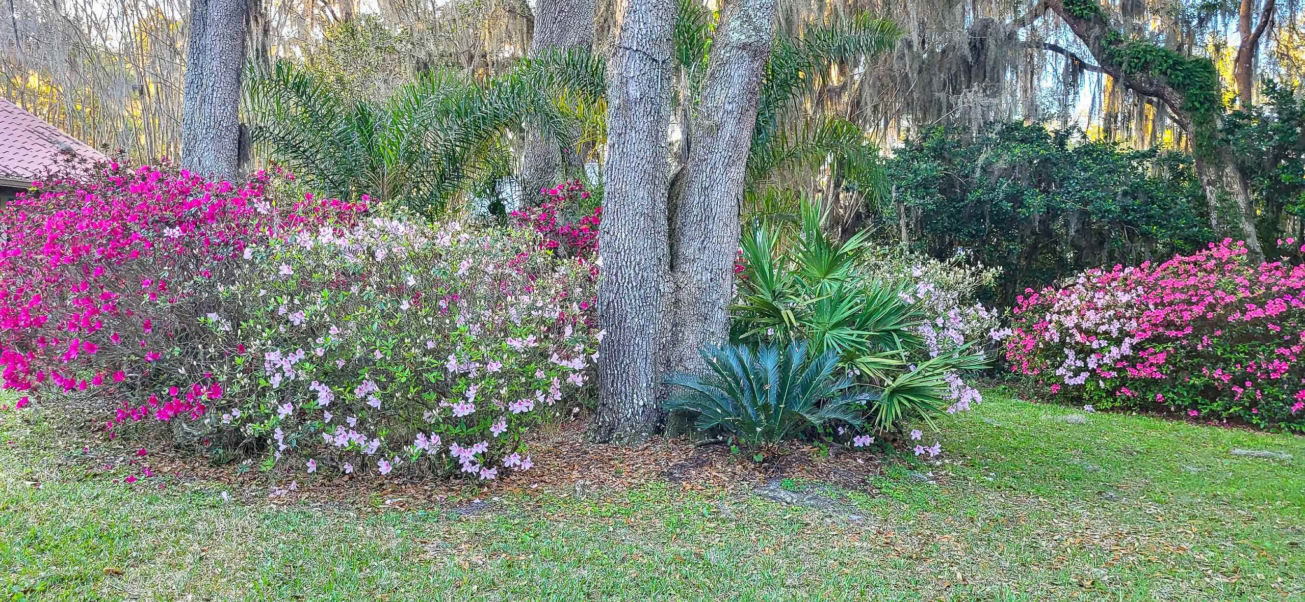 Image 78 of 94 For 524 Cedar Creek Rd