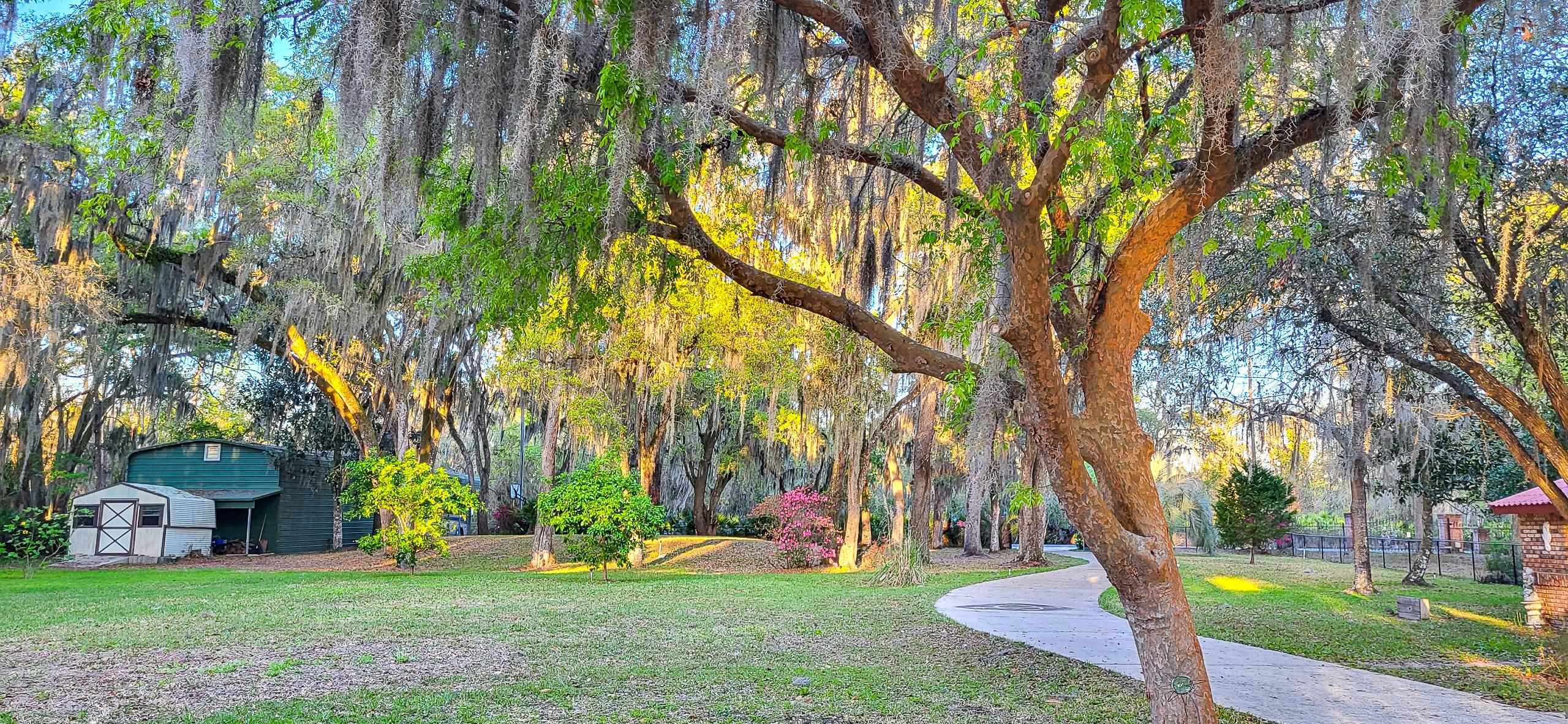 Image 79 of 94 For 524 Cedar Creek Rd