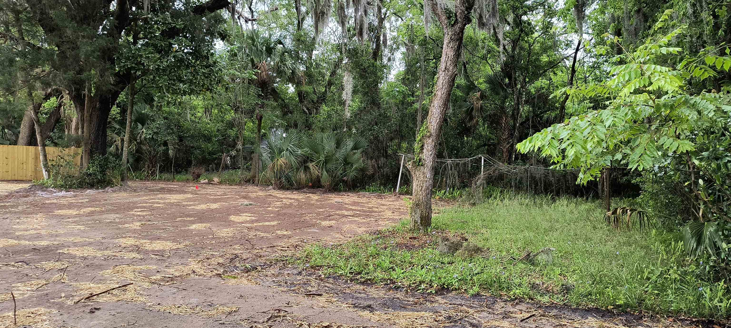 Image 2 of 8 For 98b Bruen St