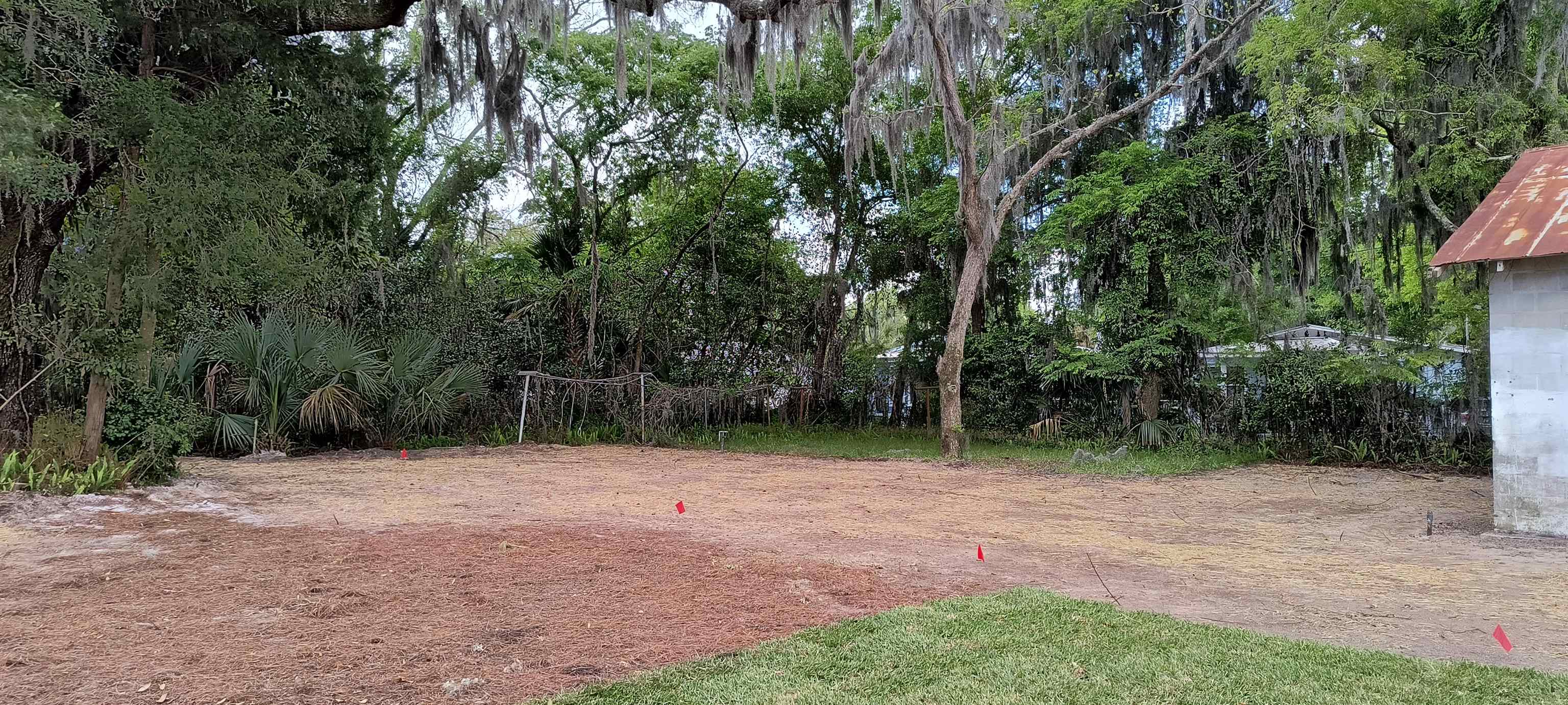 Image 3 of 8 For 98b Bruen St