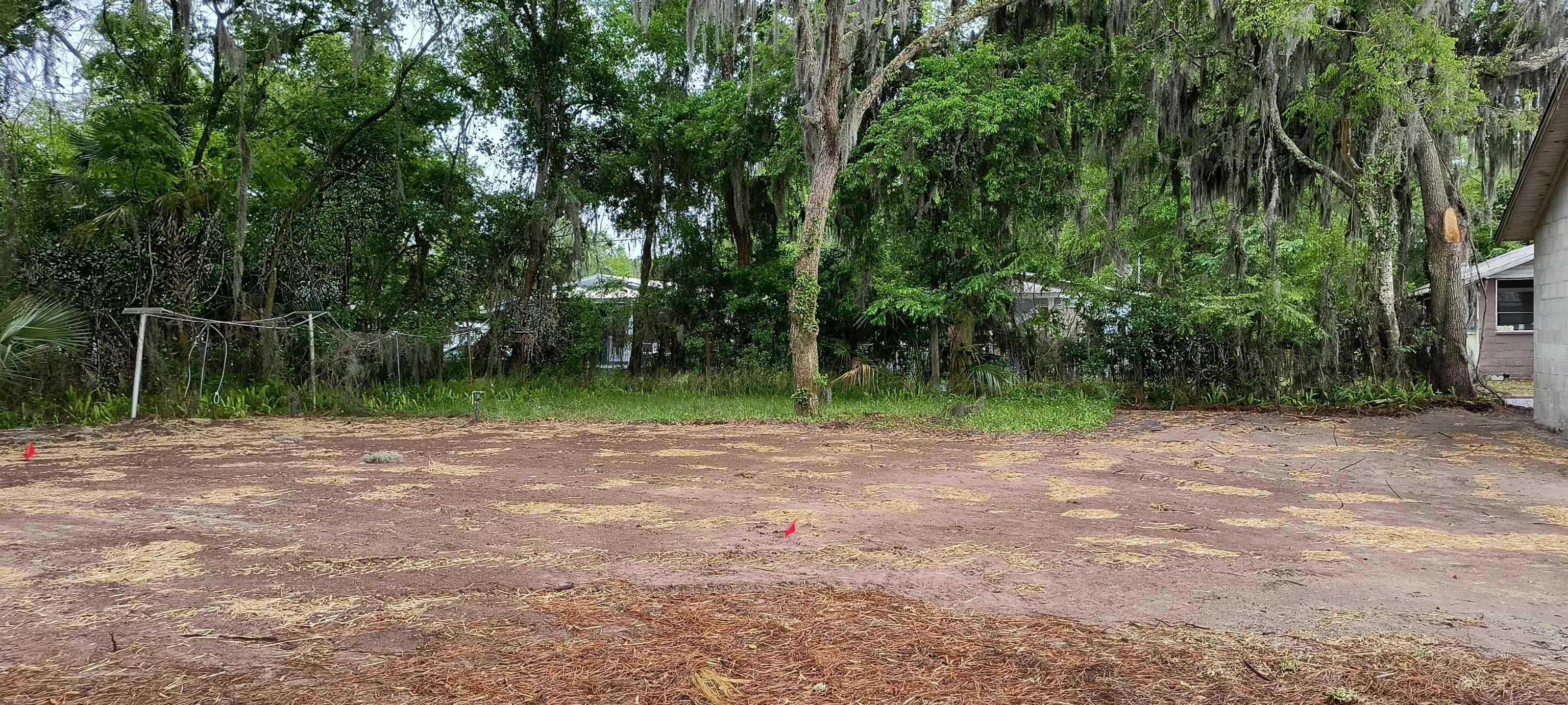 Image 4 of 8 For 98b Bruen St