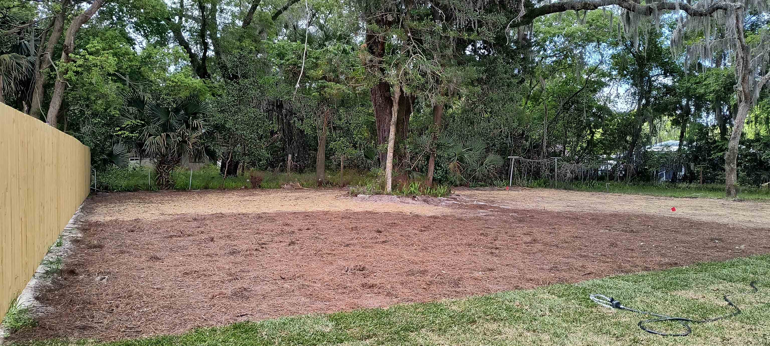 Image 6 of 8 For 98b Bruen St