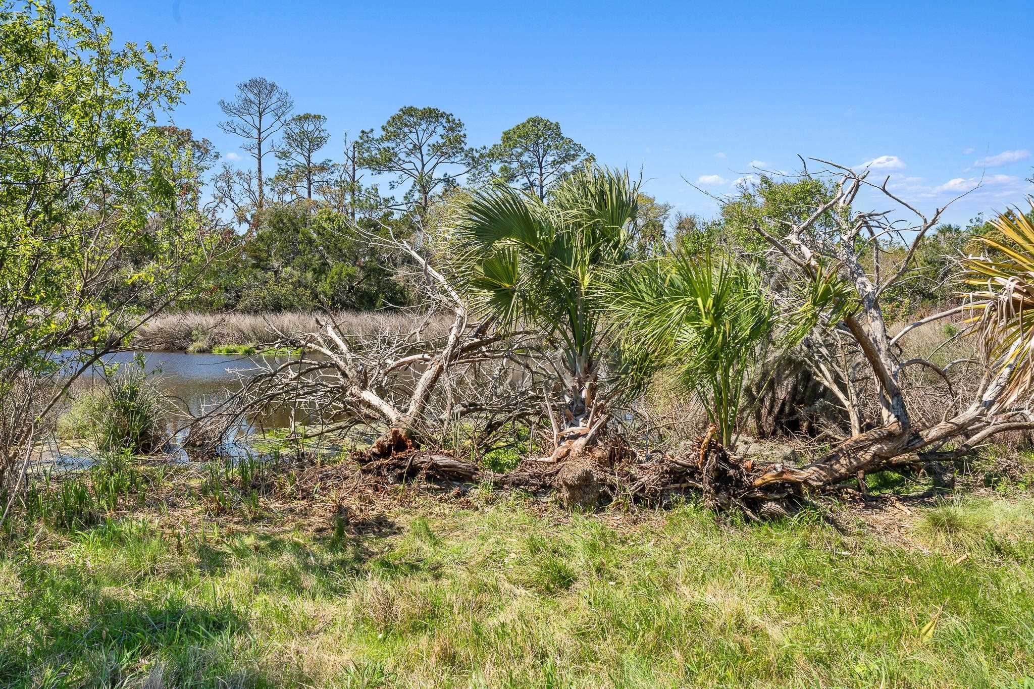 Image 69 of 98 For 164 Tesoro Terrace