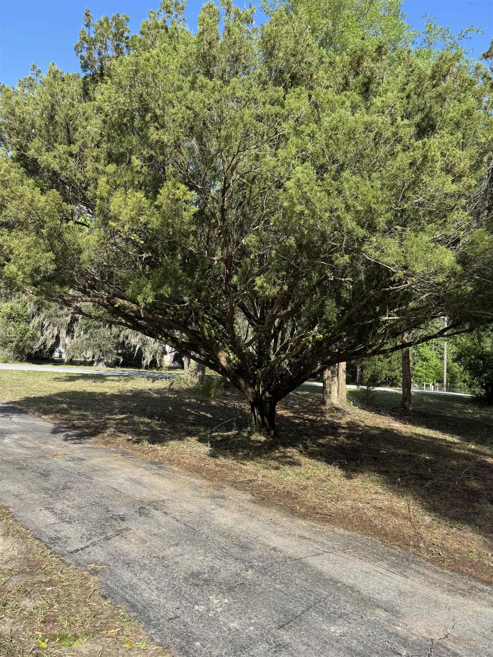 Image 19 of 20 For 608 Coral Farms Rd