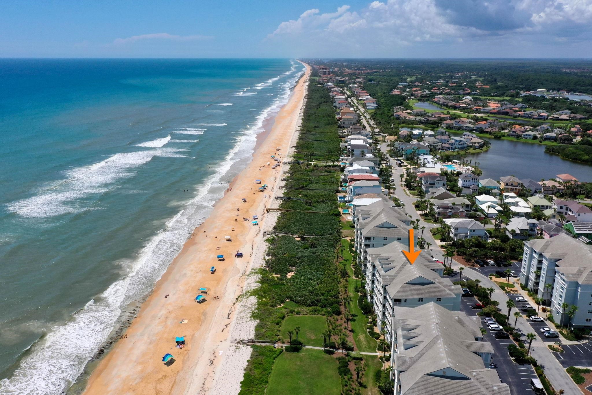 Image 48 of 85 For 800 Cinnamon Beach Way  721