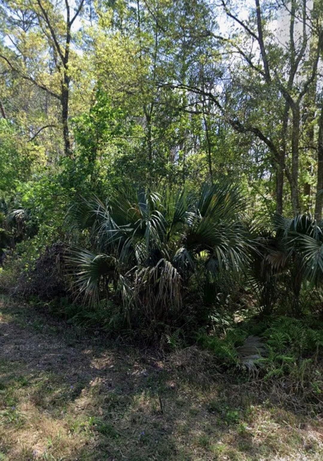 Details for 425 Dogwood Ave, Georgetown, FL 32139