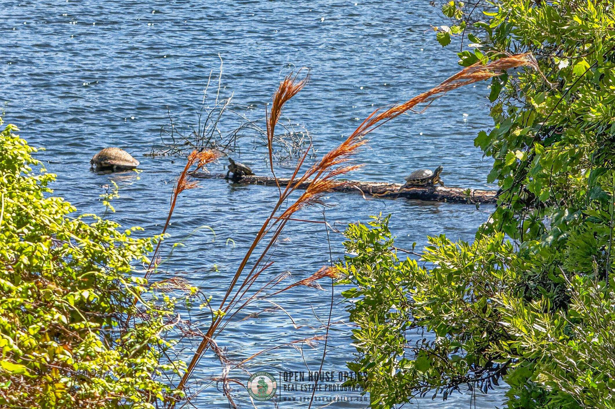 Image 82 of 82 For 37 Lost Lake Dr