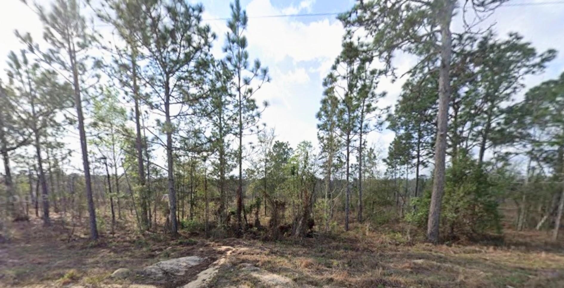 Details for Tbd Union Ave, Interlachen, FL 32148