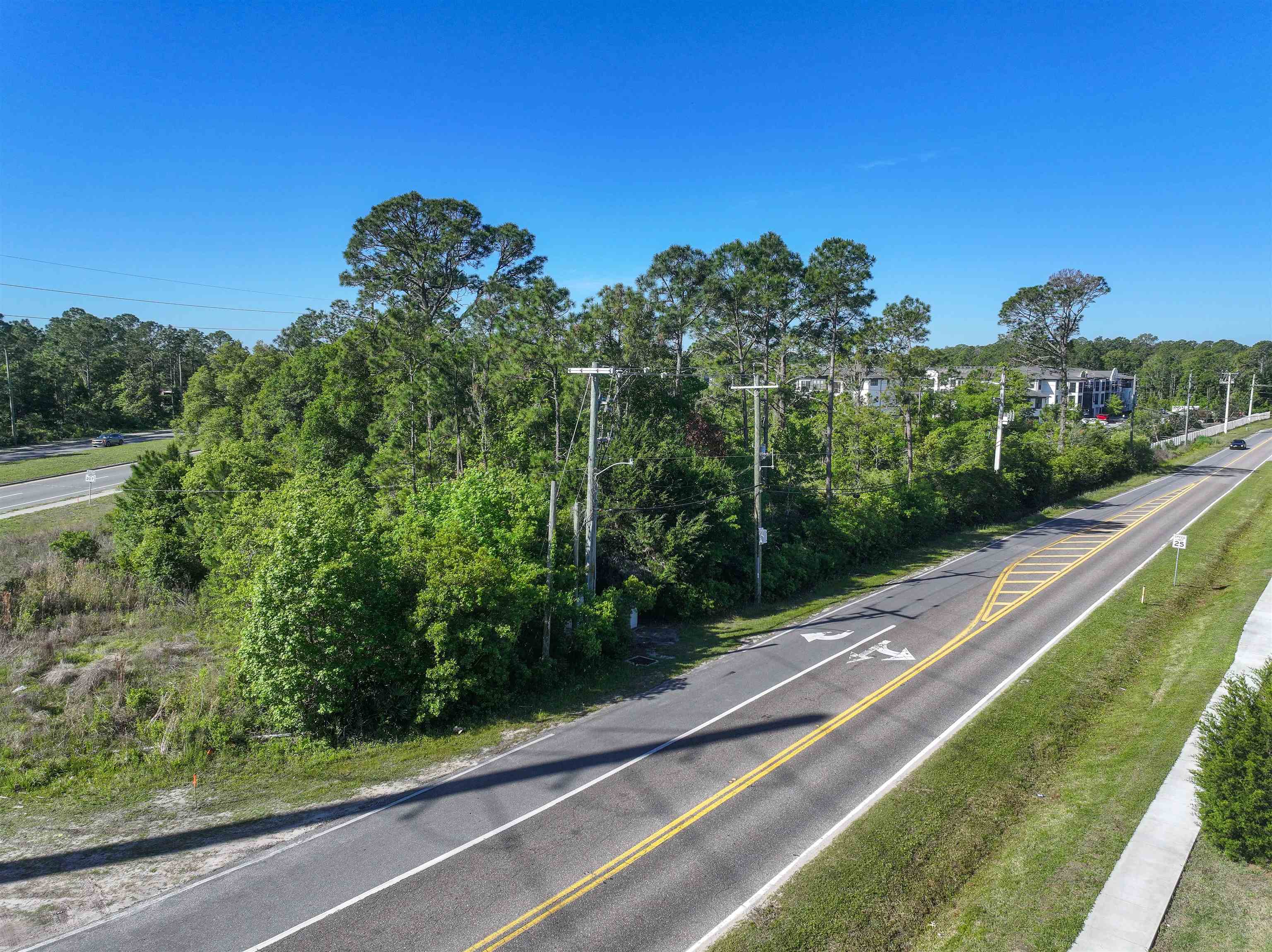 Image 6 of 41 For 0 State Rd 207