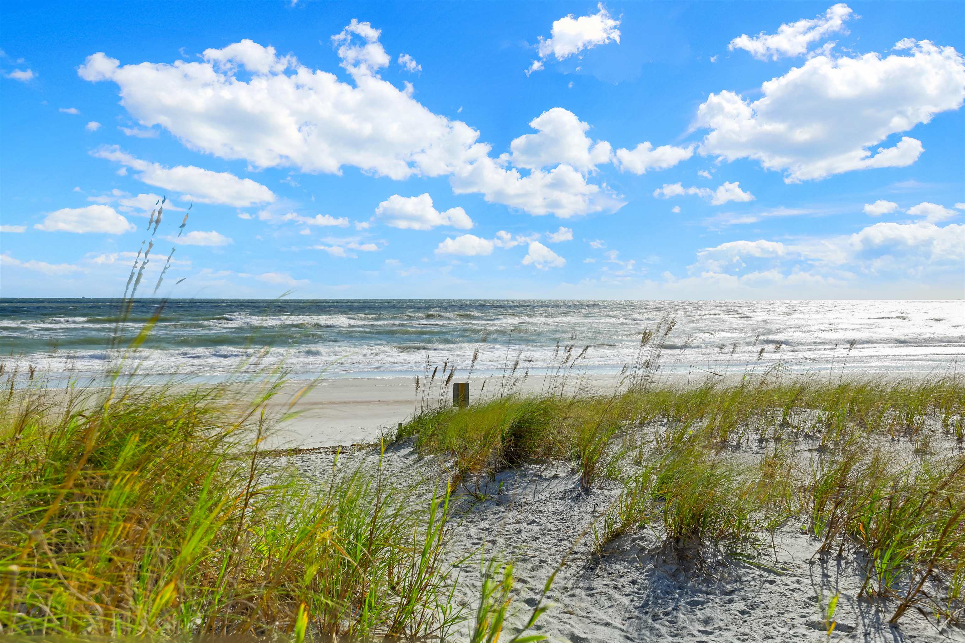 Image 3 of 59 For 110 Ocean Hollow Ln  101