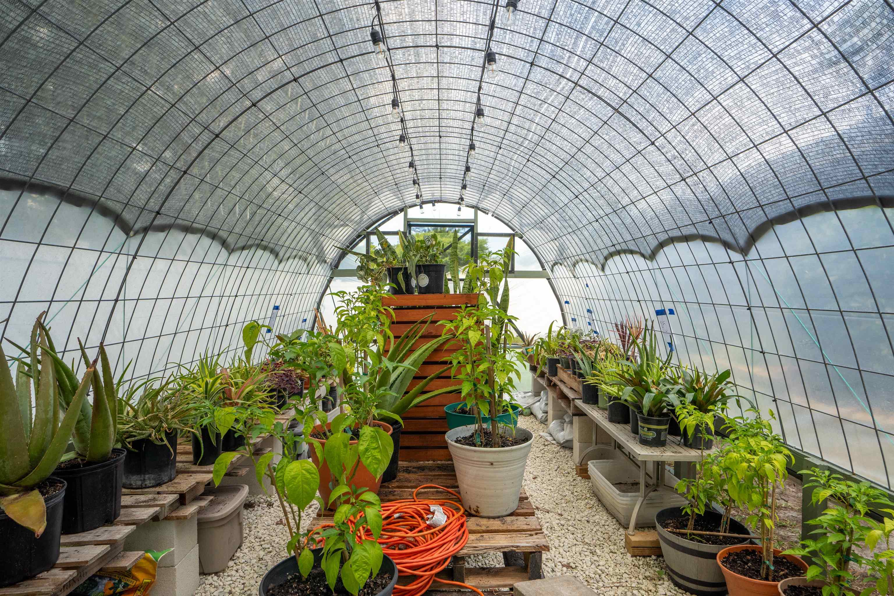 Image 8 of 38 For 2100 Marsh Hen Court