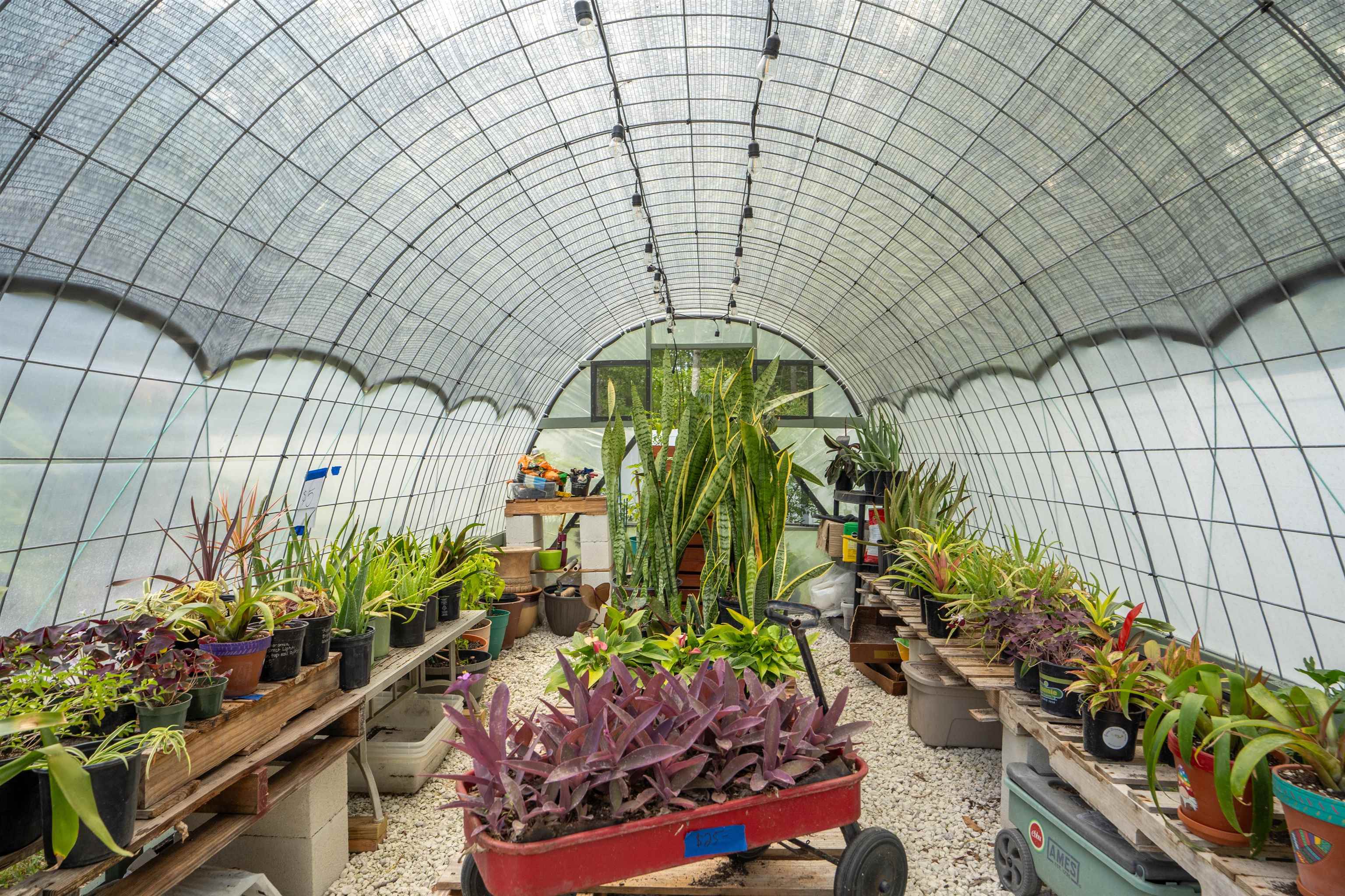 Image 9 of 38 For 2100 Marsh Hen Court