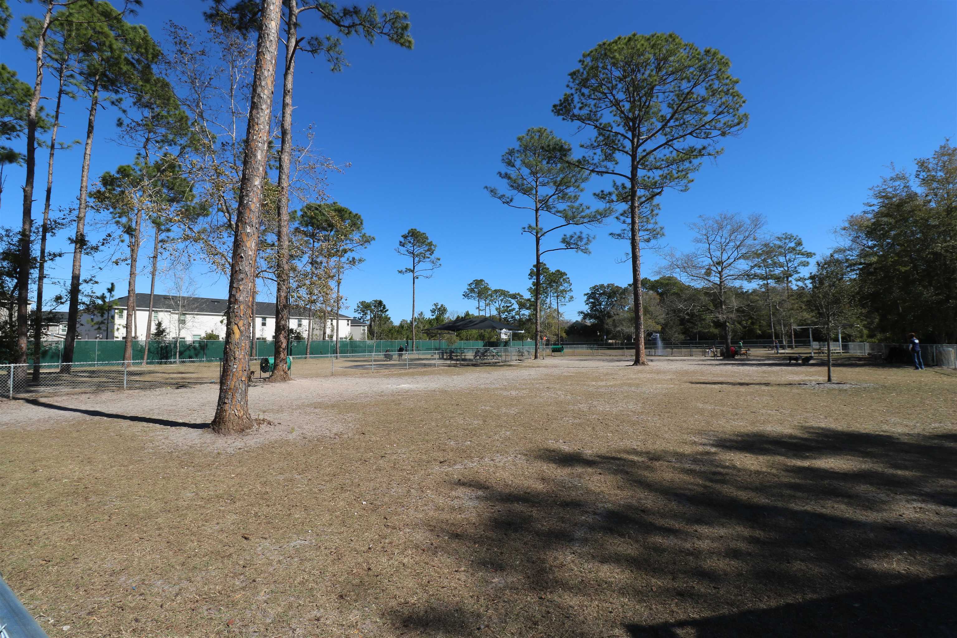 Image 42 of 43 For 251 Mustard Hill Ct