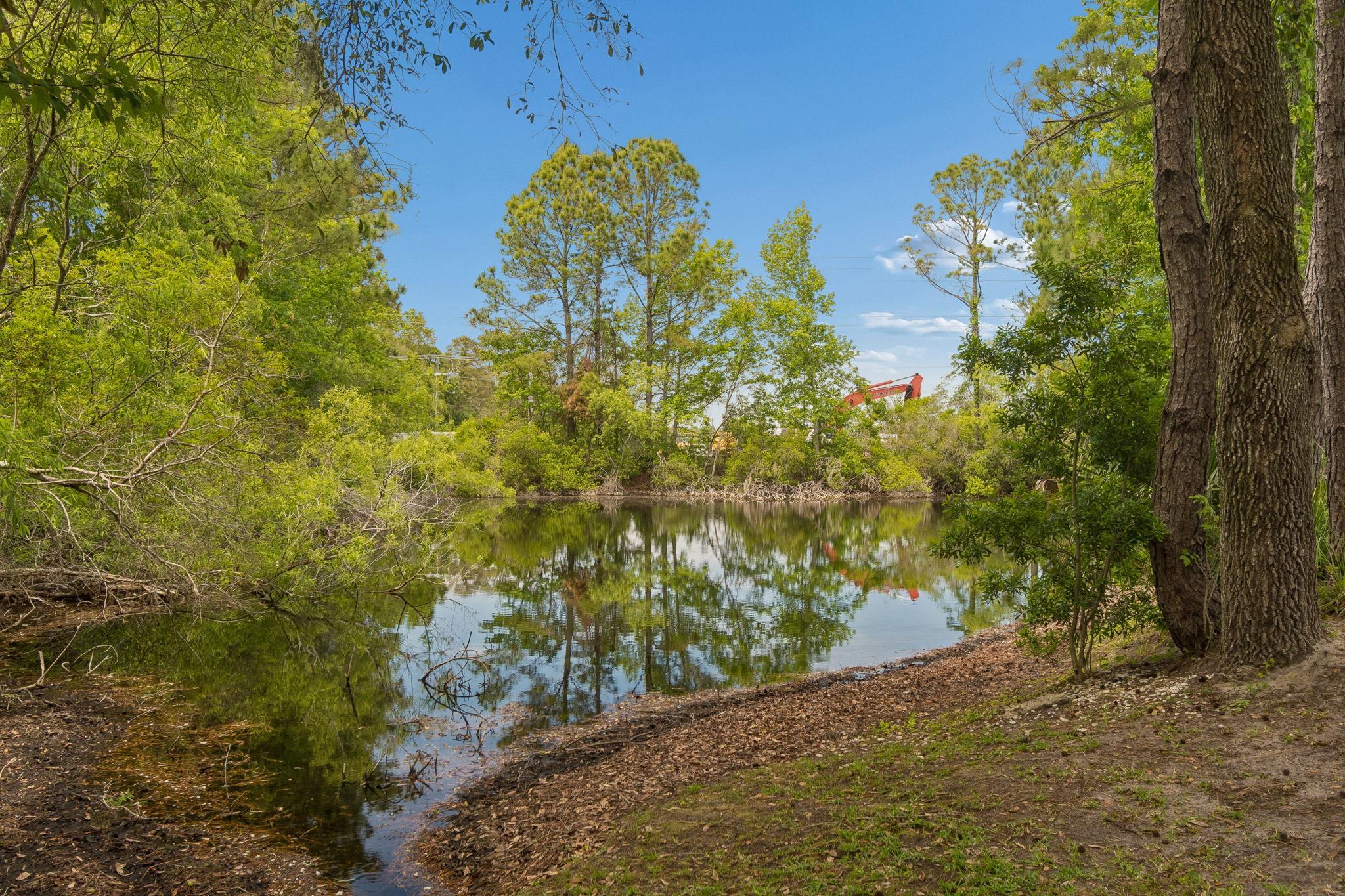 Image 55 of 61 For 141 Churchill Drive N