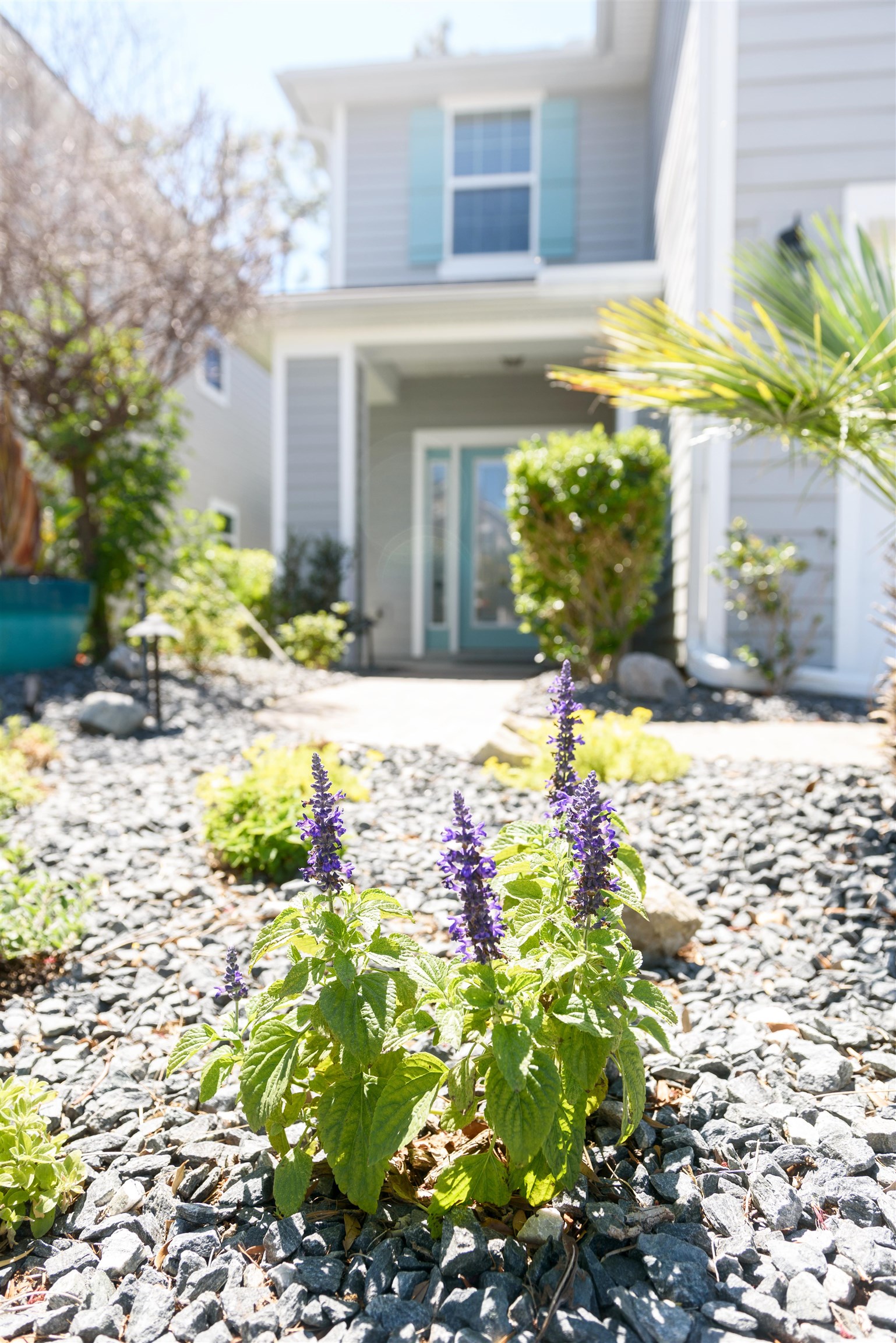 Image 29 of 30 For 3803 Coastal Cove Circle